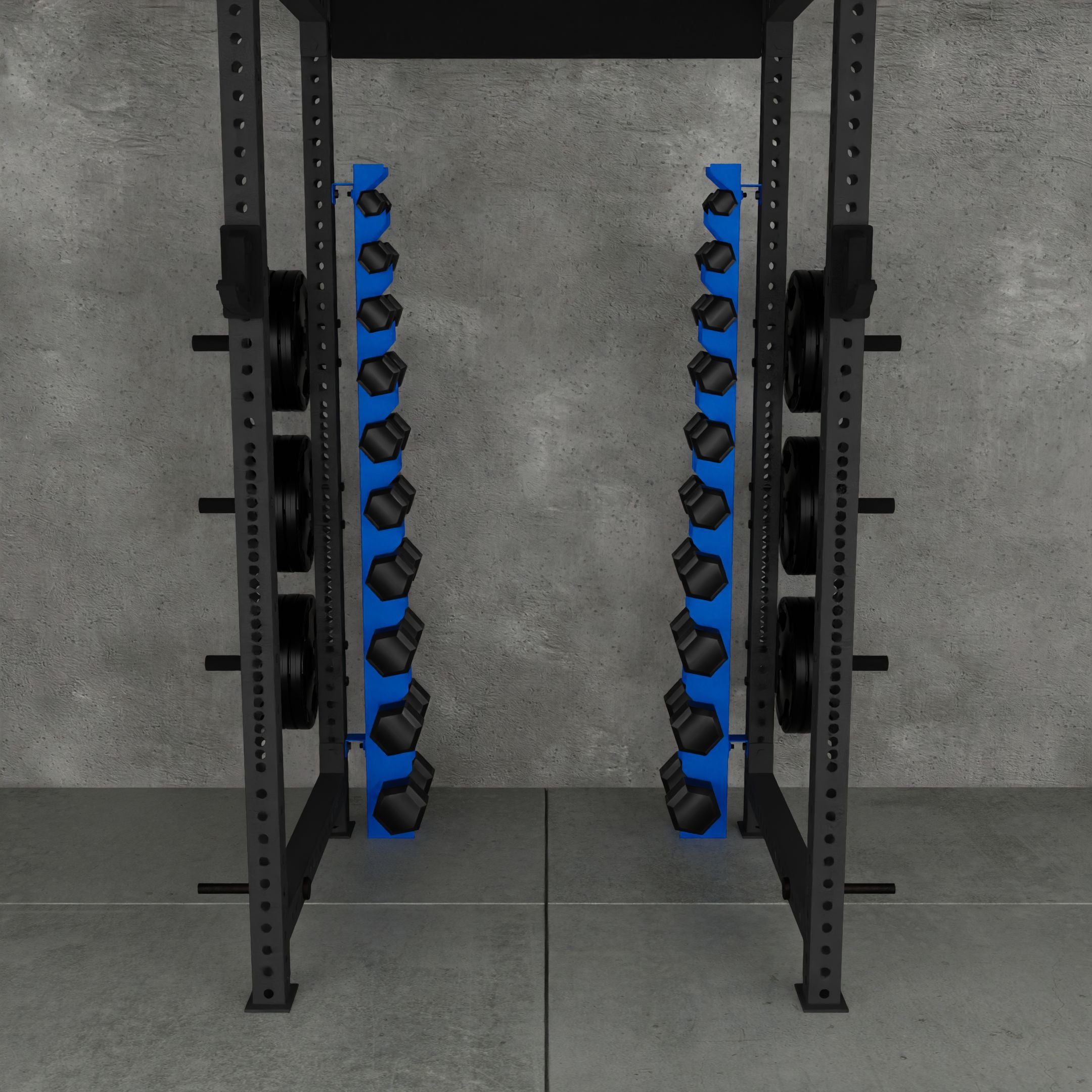 Delta | 10-Tier Vertical Dumbbell Storage Wall/Rack Mount