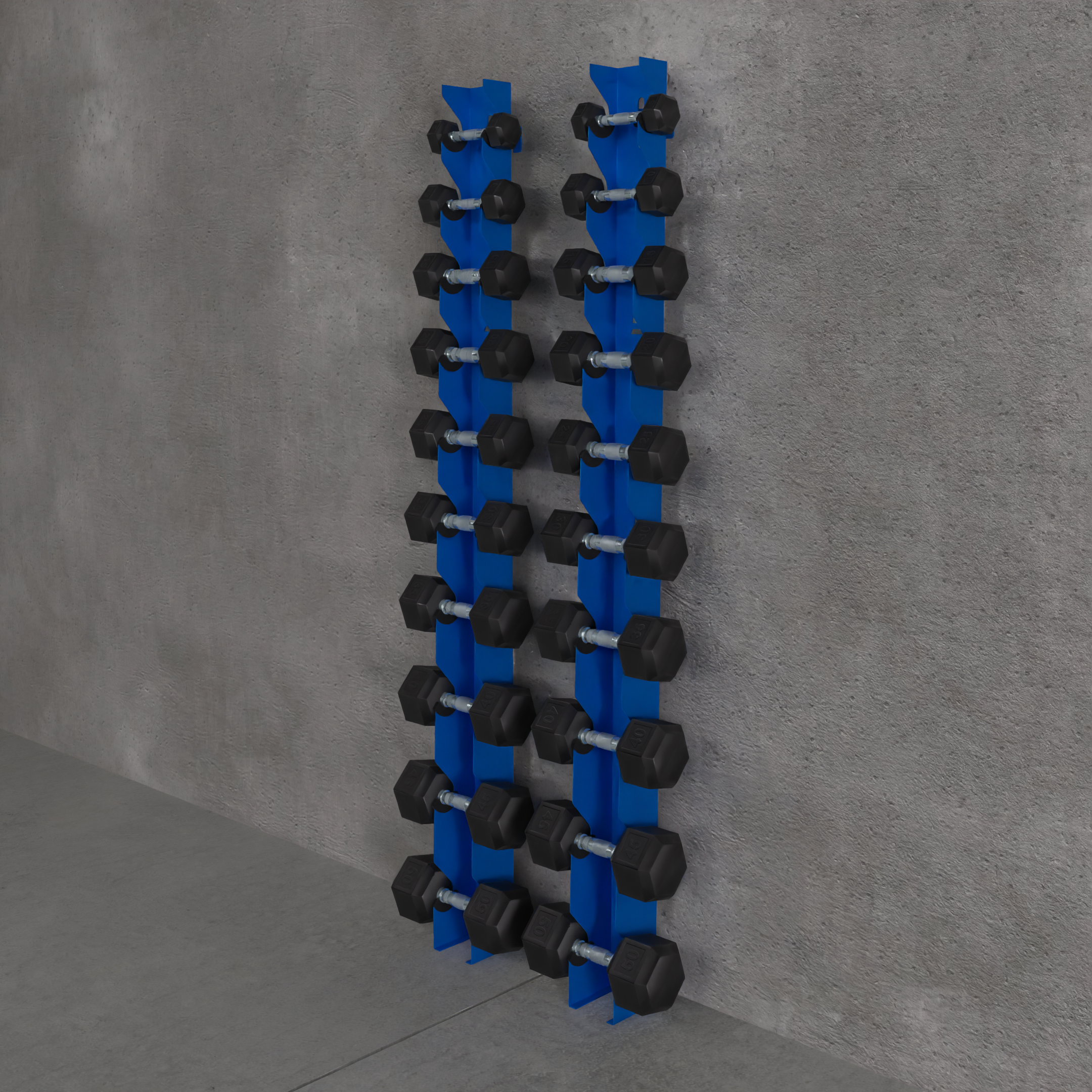 Delta | 10-Tier Vertical Dumbbell Storage Wall/Rack Mount