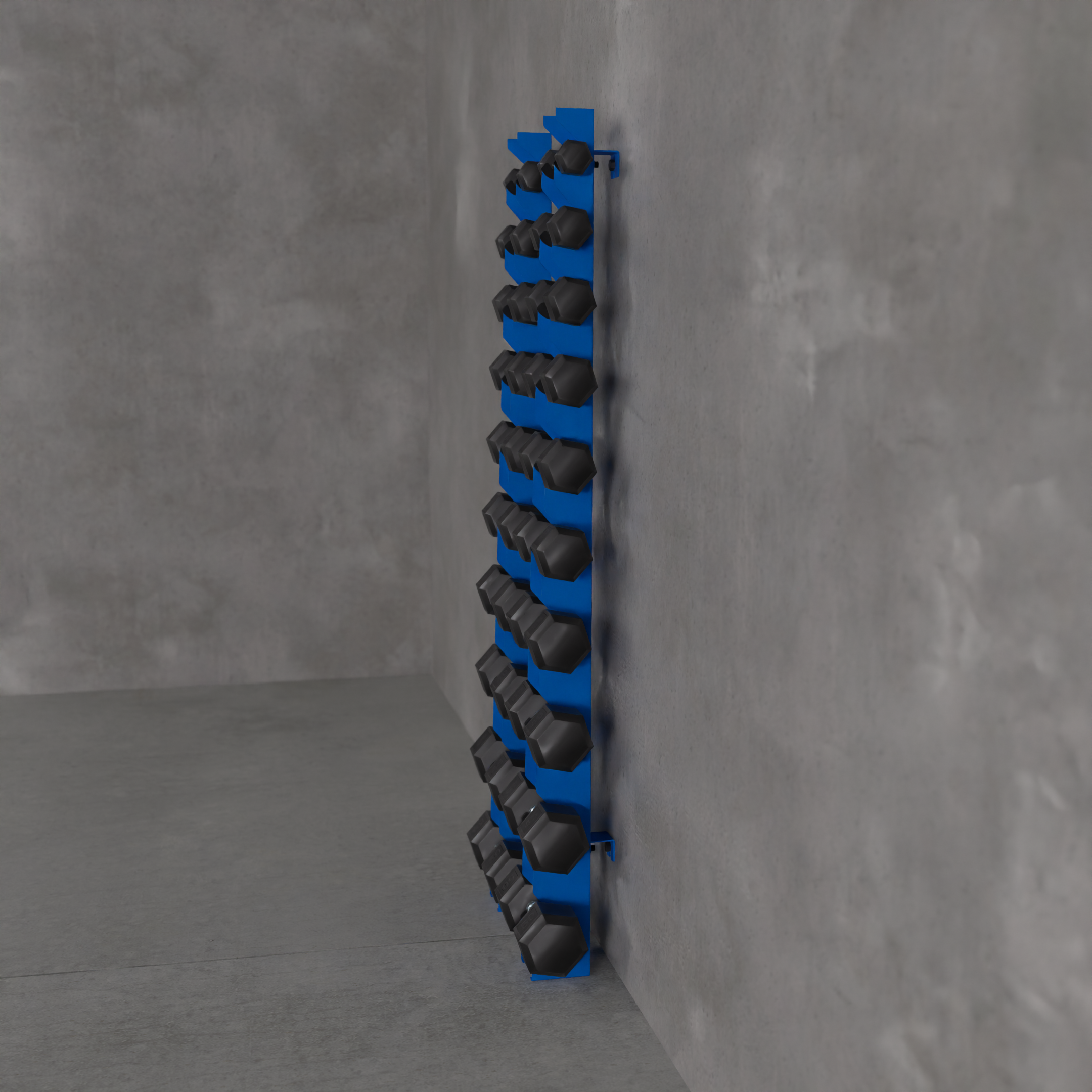 Delta | 10-Tier Vertical Dumbbell Storage Wall/Rack Mount