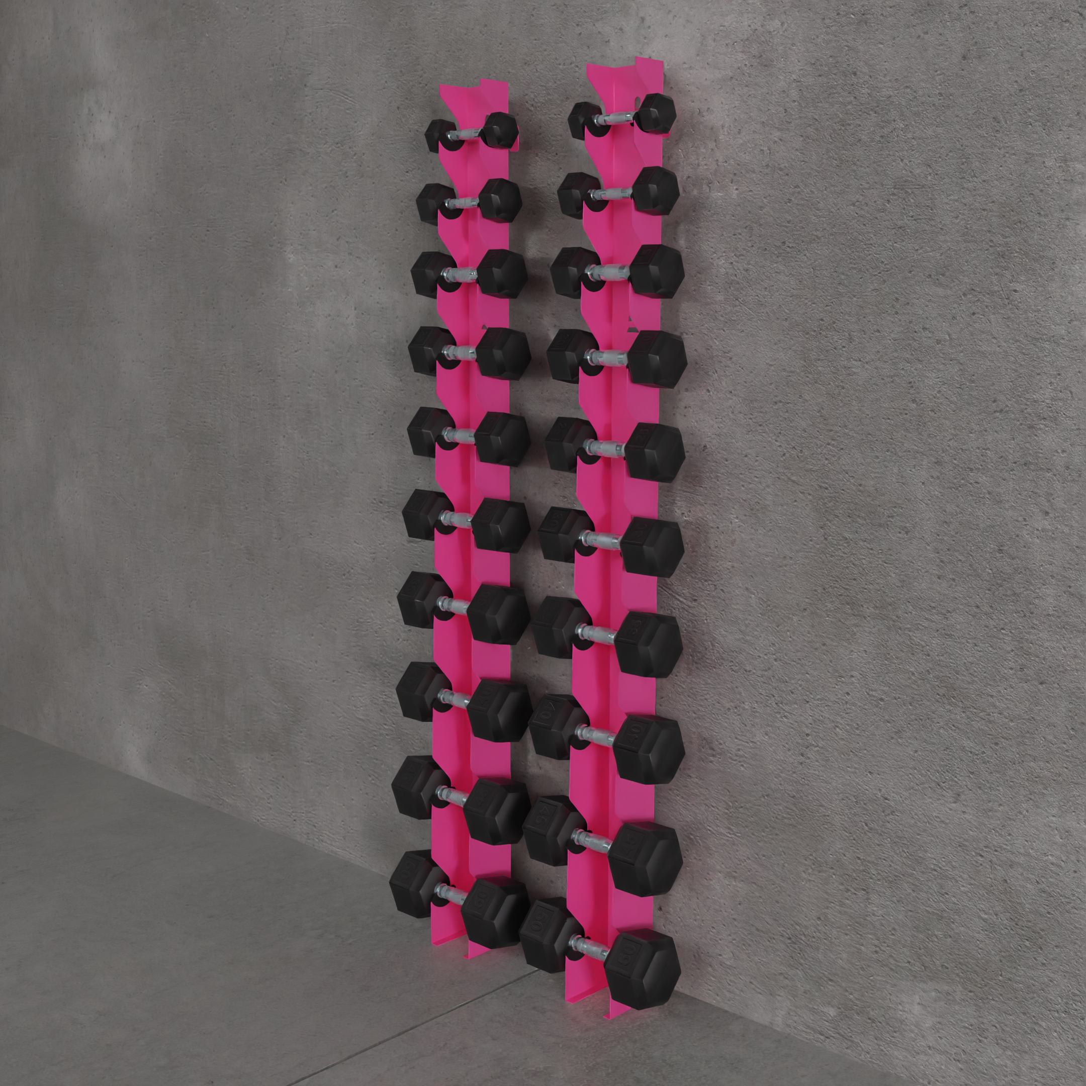 Delta | 10-Tier Vertical Dumbbell Storage Wall/Rack Mount
