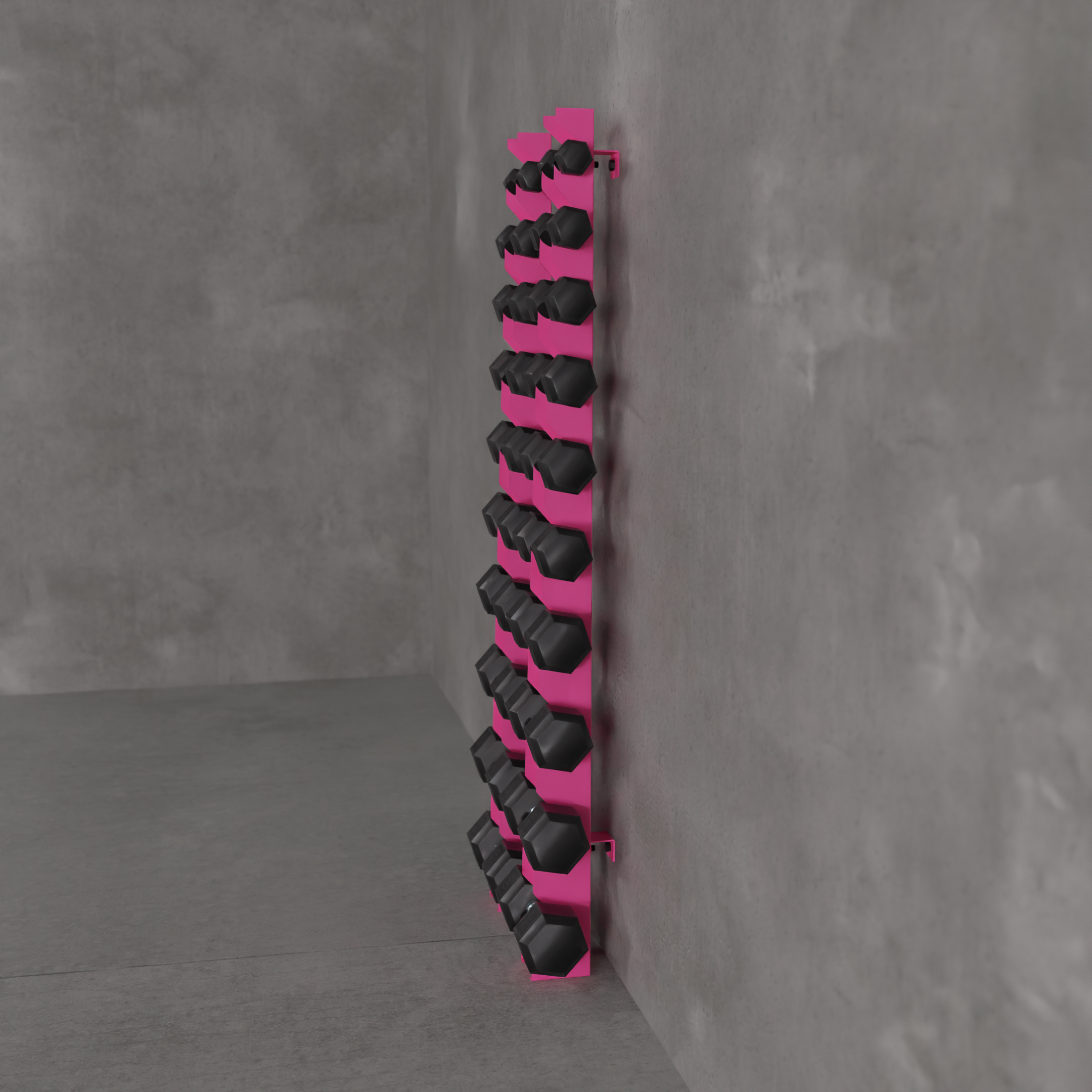 Delta | 10-Tier Vertical Dumbbell Storage Wall/Rack Mount