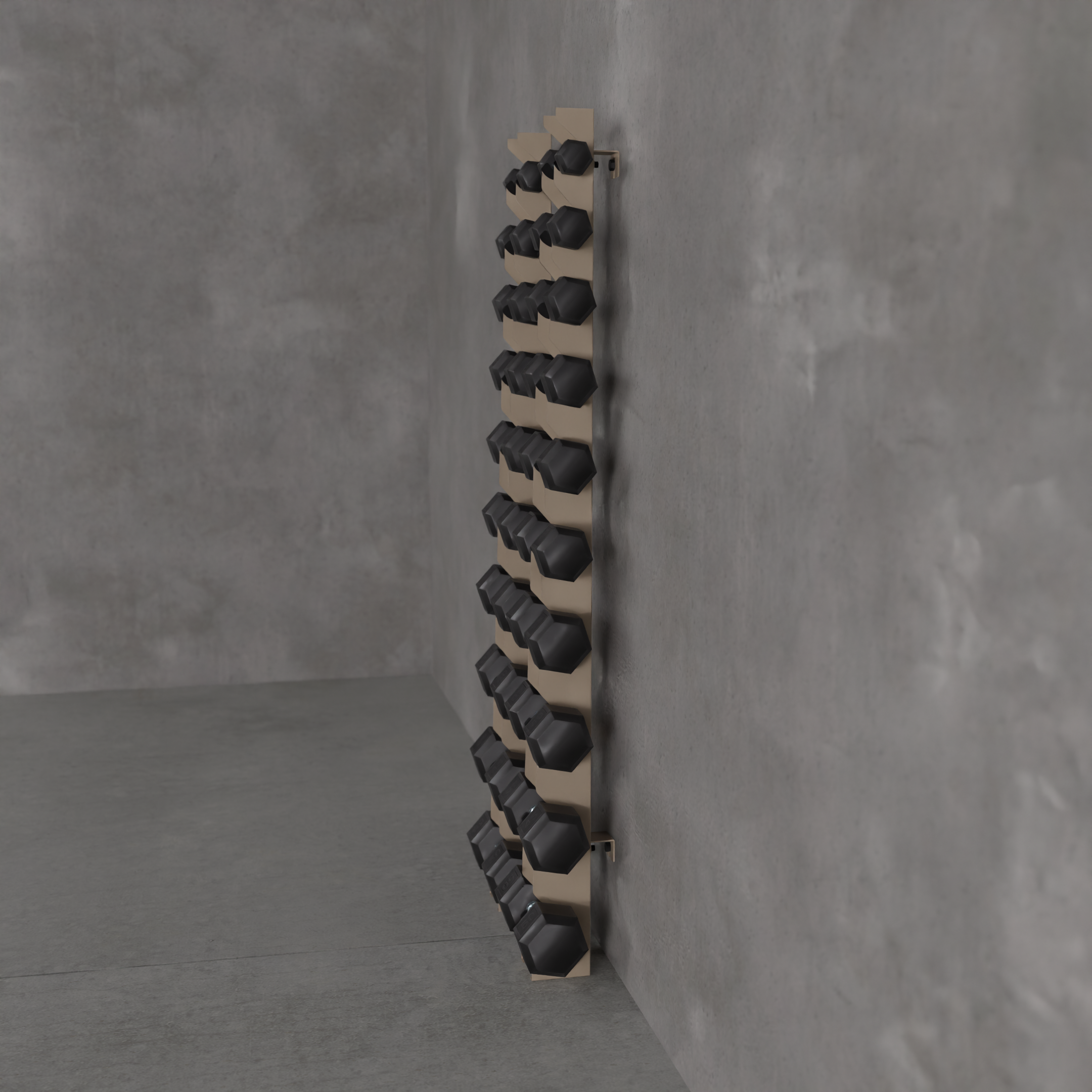 Delta | 10-Tier Vertical Dumbbell Storage Wall/Rack Mount