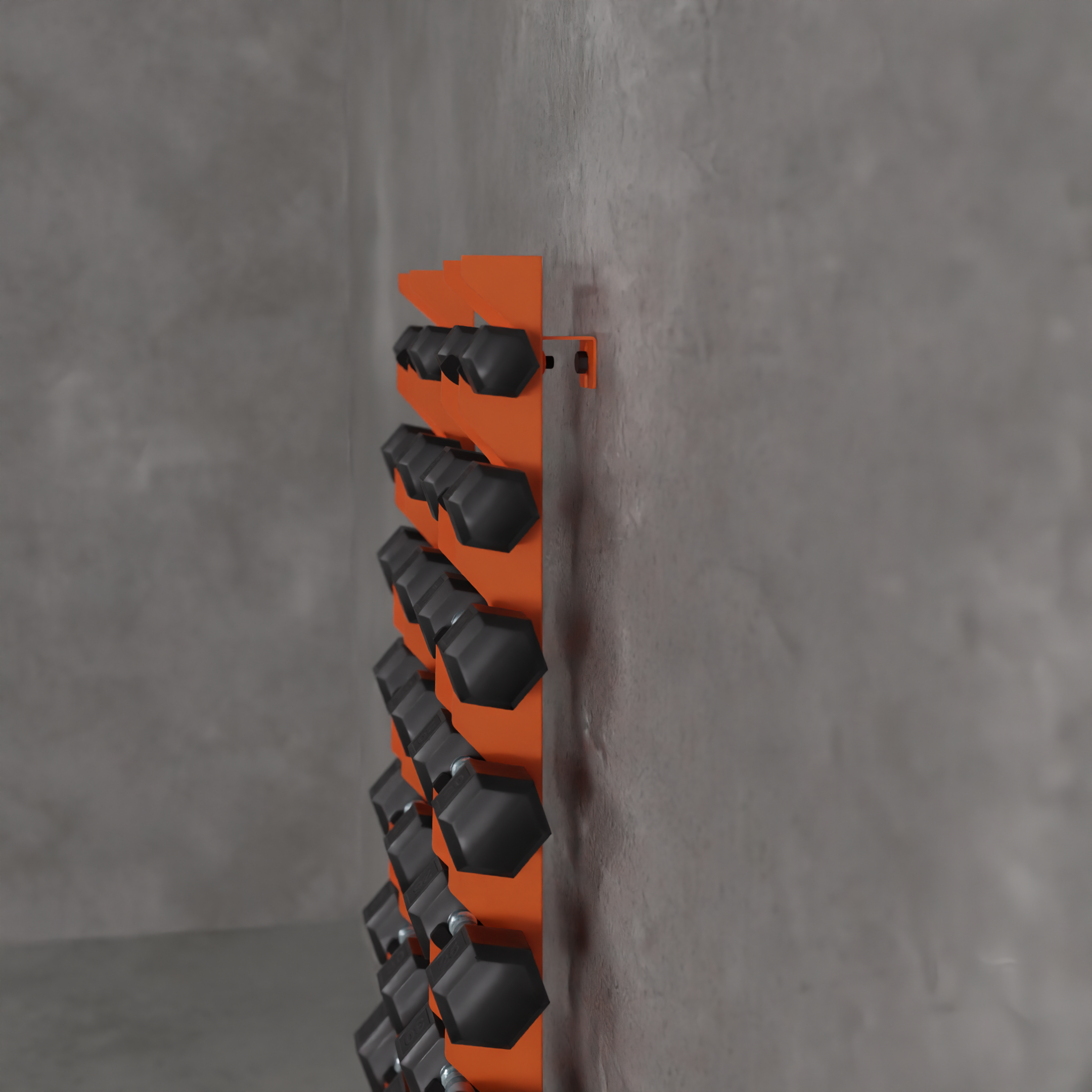 Delta | 10-Tier Vertical Dumbbell Storage Wall/Rack Mount