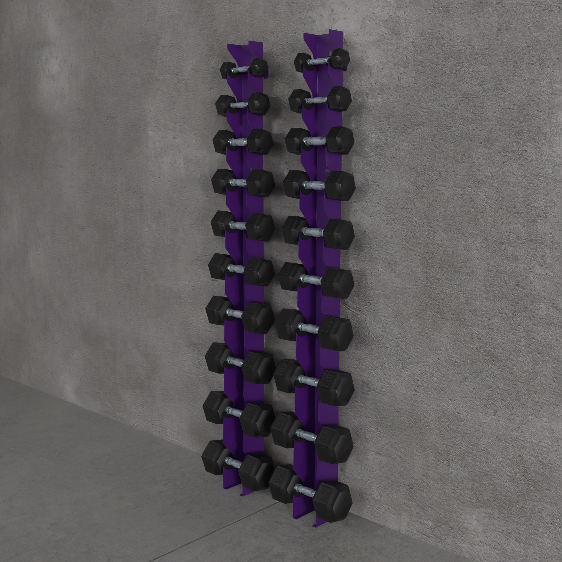 Delta | 10-Tier Vertical Dumbbell Storage Wall/Rack Mount