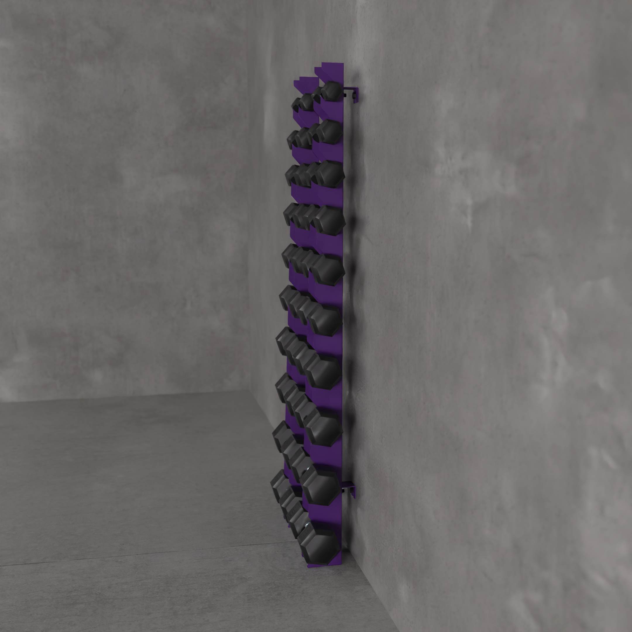 Delta | 10-Tier Vertical Dumbbell Storage Wall/Rack Mount