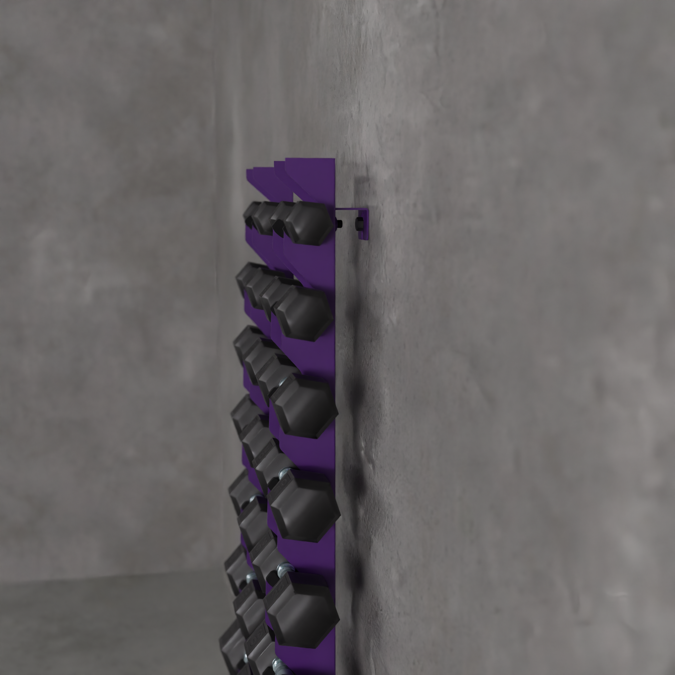 Delta | 10-Tier Vertical Dumbbell Storage Wall/Rack Mount