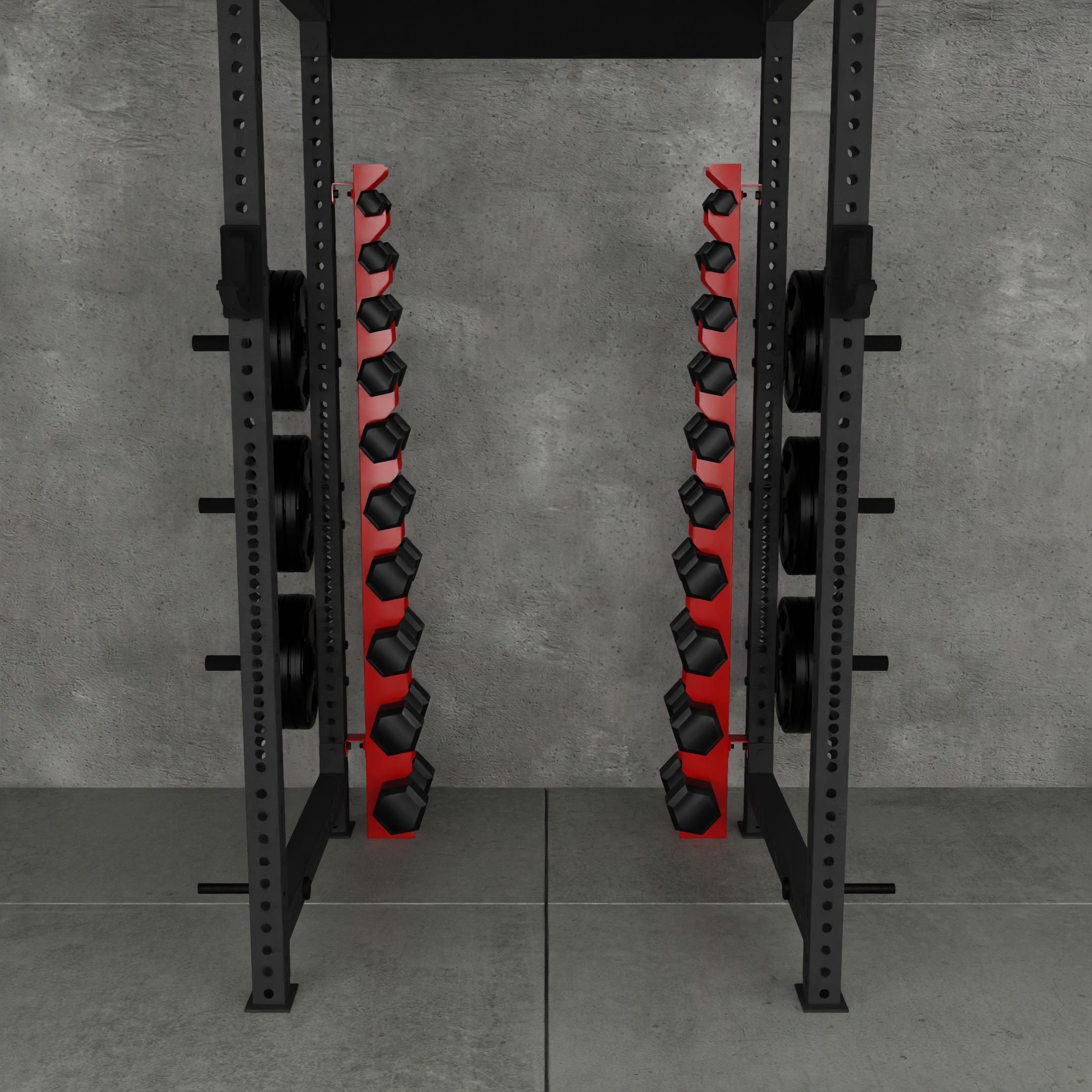 Delta | 10-Tier Vertical Dumbbell Storage Wall/Rack Mount