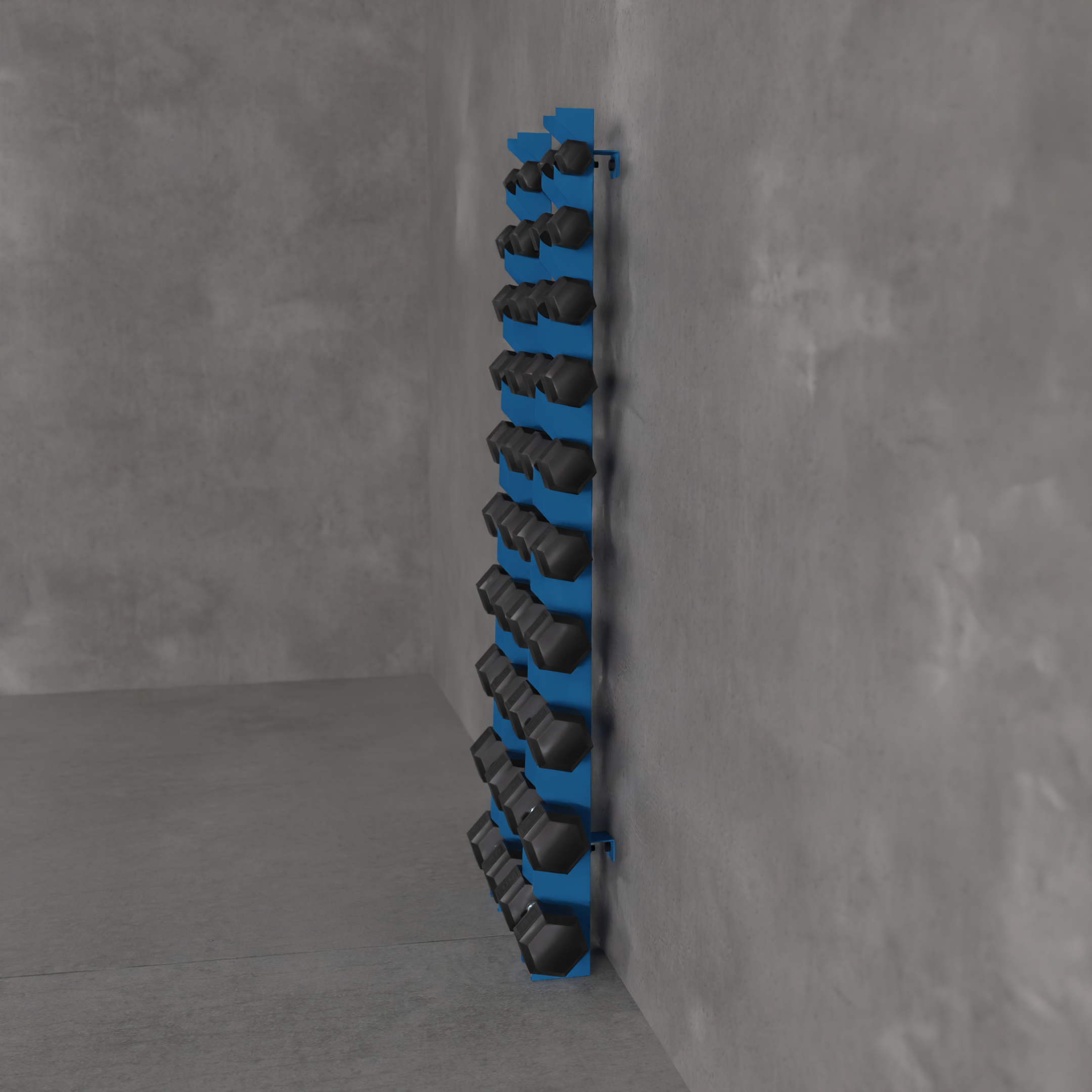 Delta | 10-Tier Vertical Dumbbell Storage Wall/Rack Mount