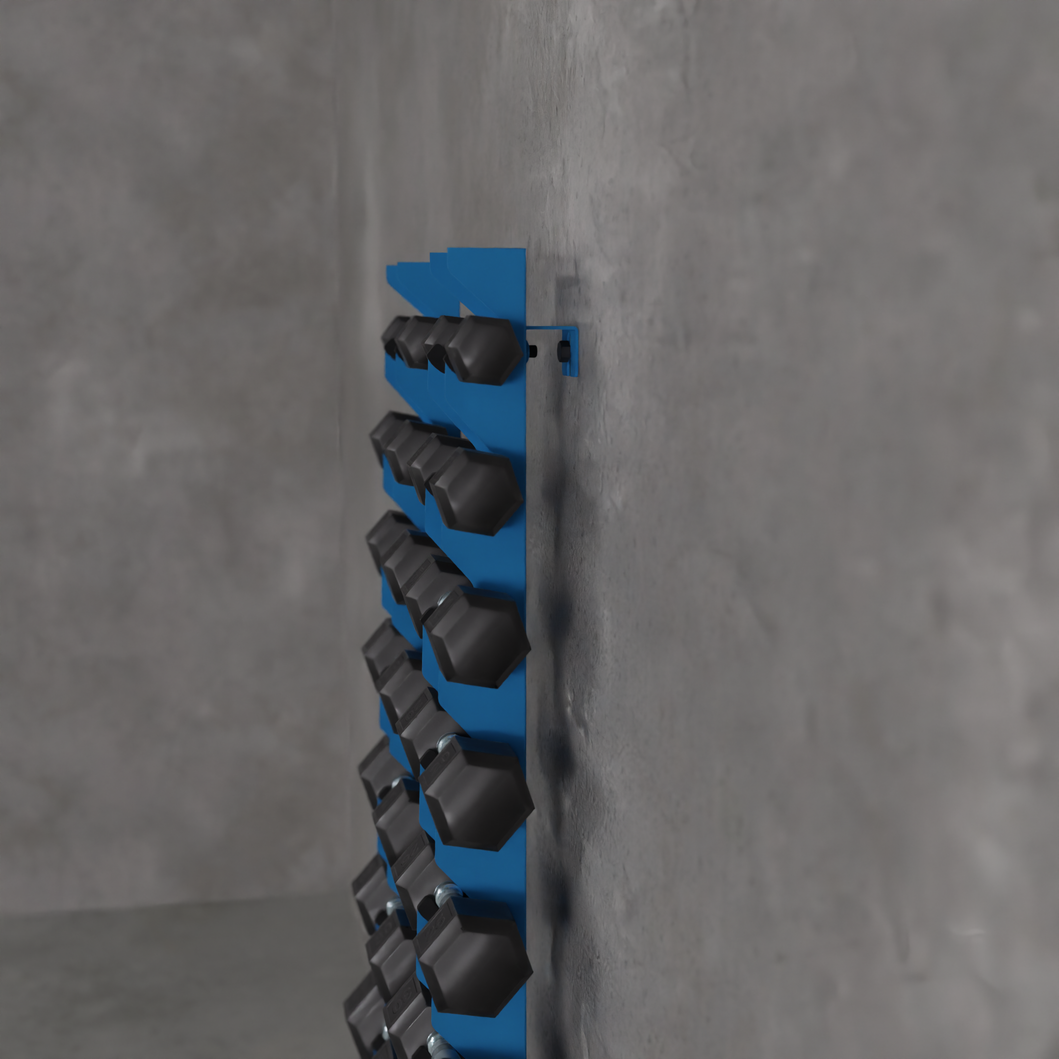 Delta | 10-Tier Vertical Dumbbell Storage Wall/Rack Mount