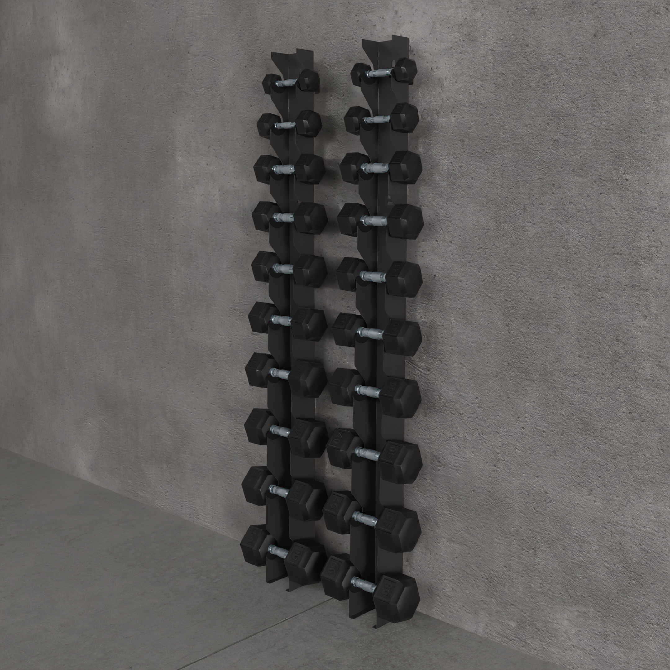 Delta | 10-Tier Vertical Dumbbell Storage Wall/Rack Mount