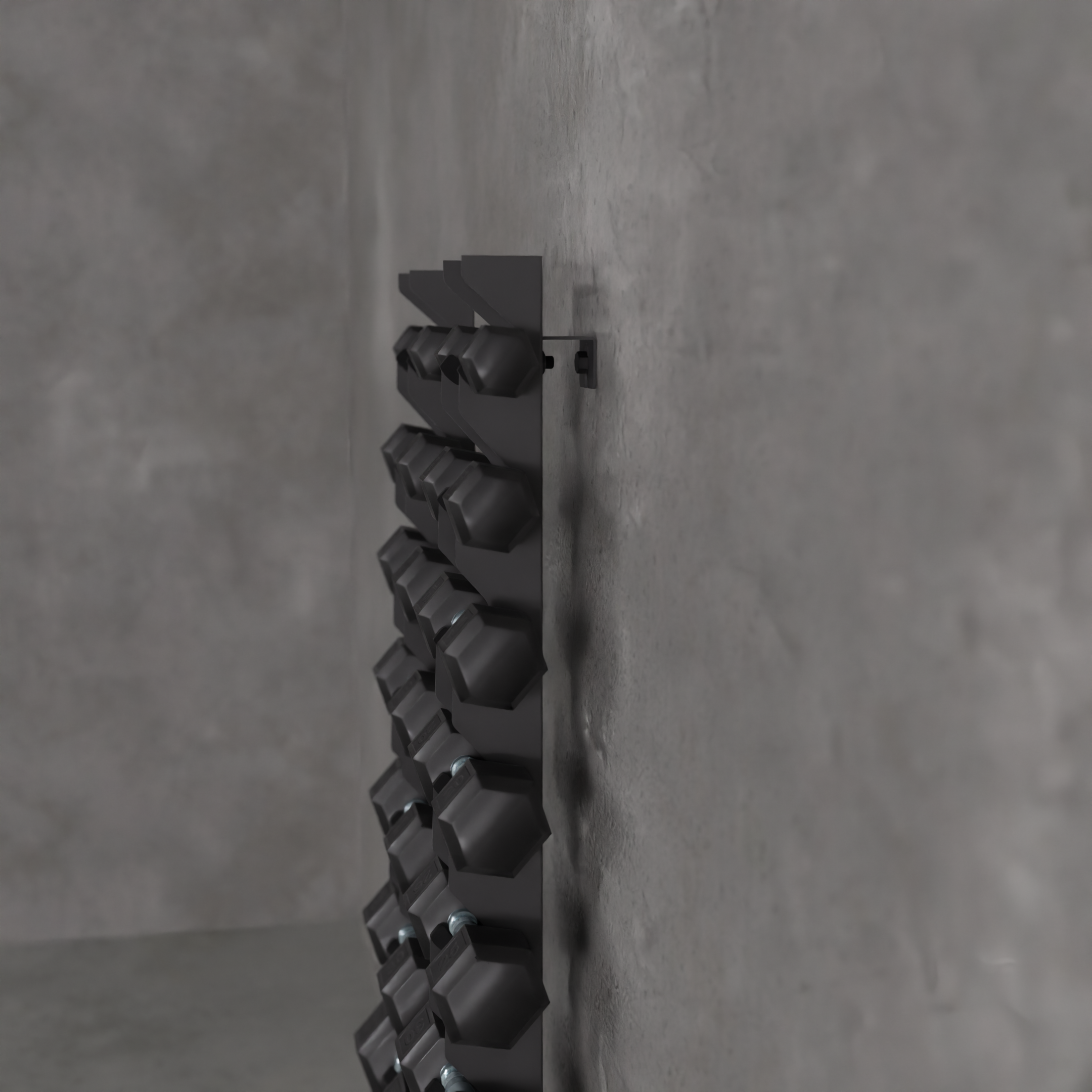 Delta | 10-Tier Vertical Dumbbell Storage Wall/Rack Mount