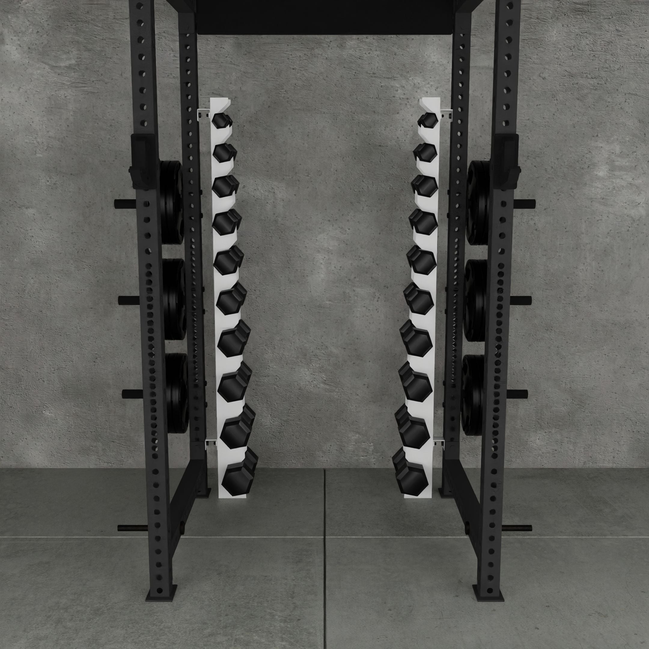Delta | 10-Tier Vertical Dumbbell Storage Wall/Rack Mount