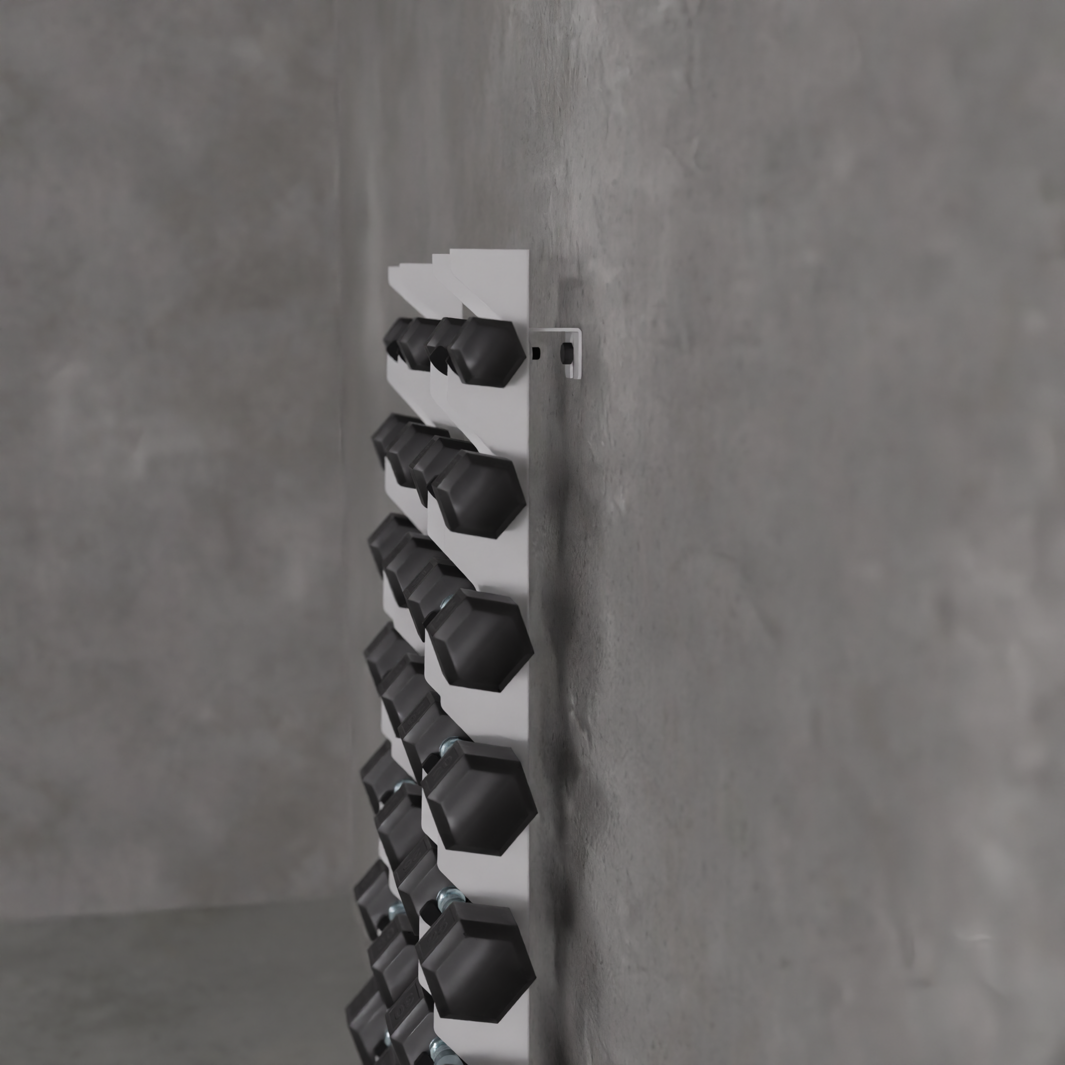 Delta | 10-Tier Vertical Dumbbell Storage Wall/Rack Mount