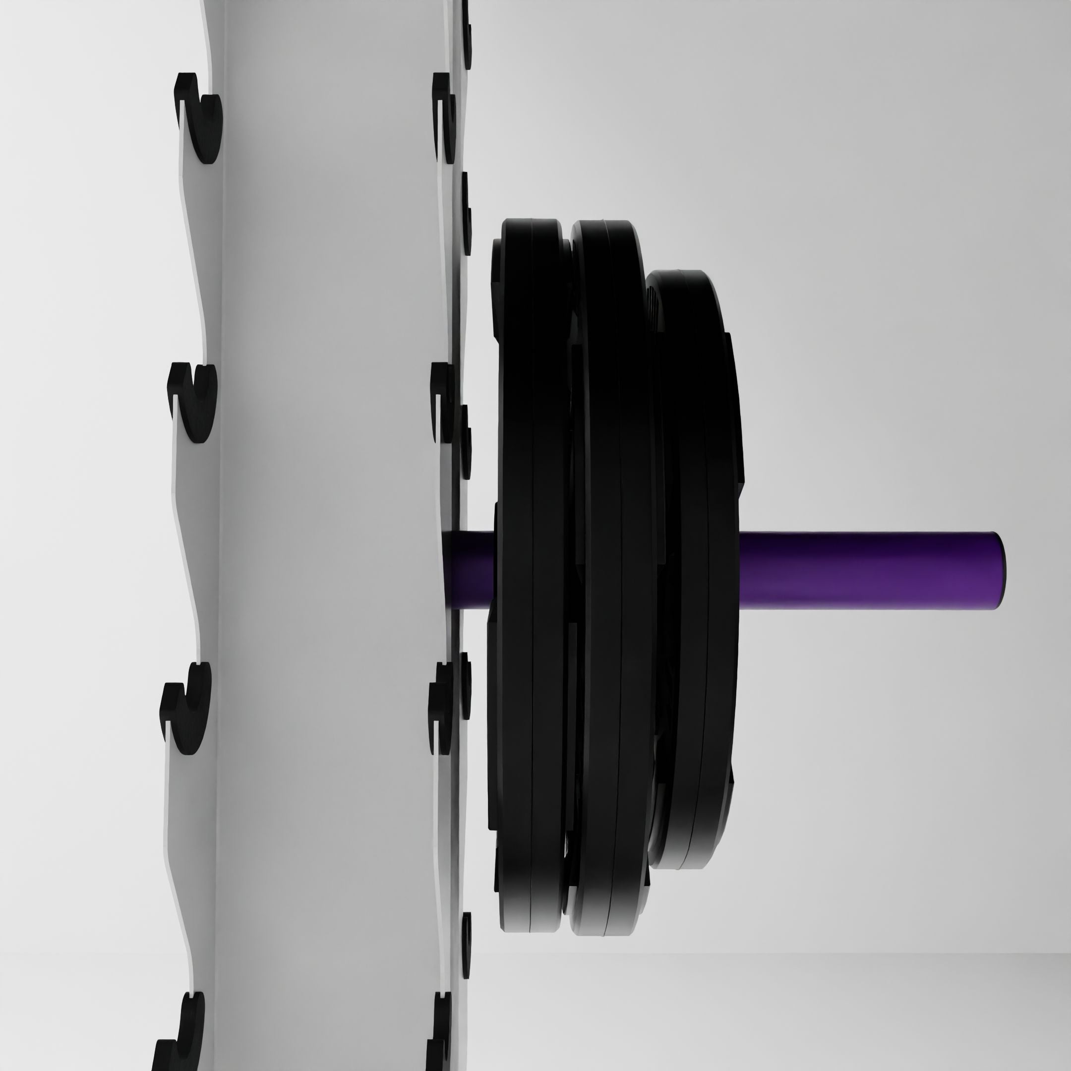 Weight Plate Storage Mount