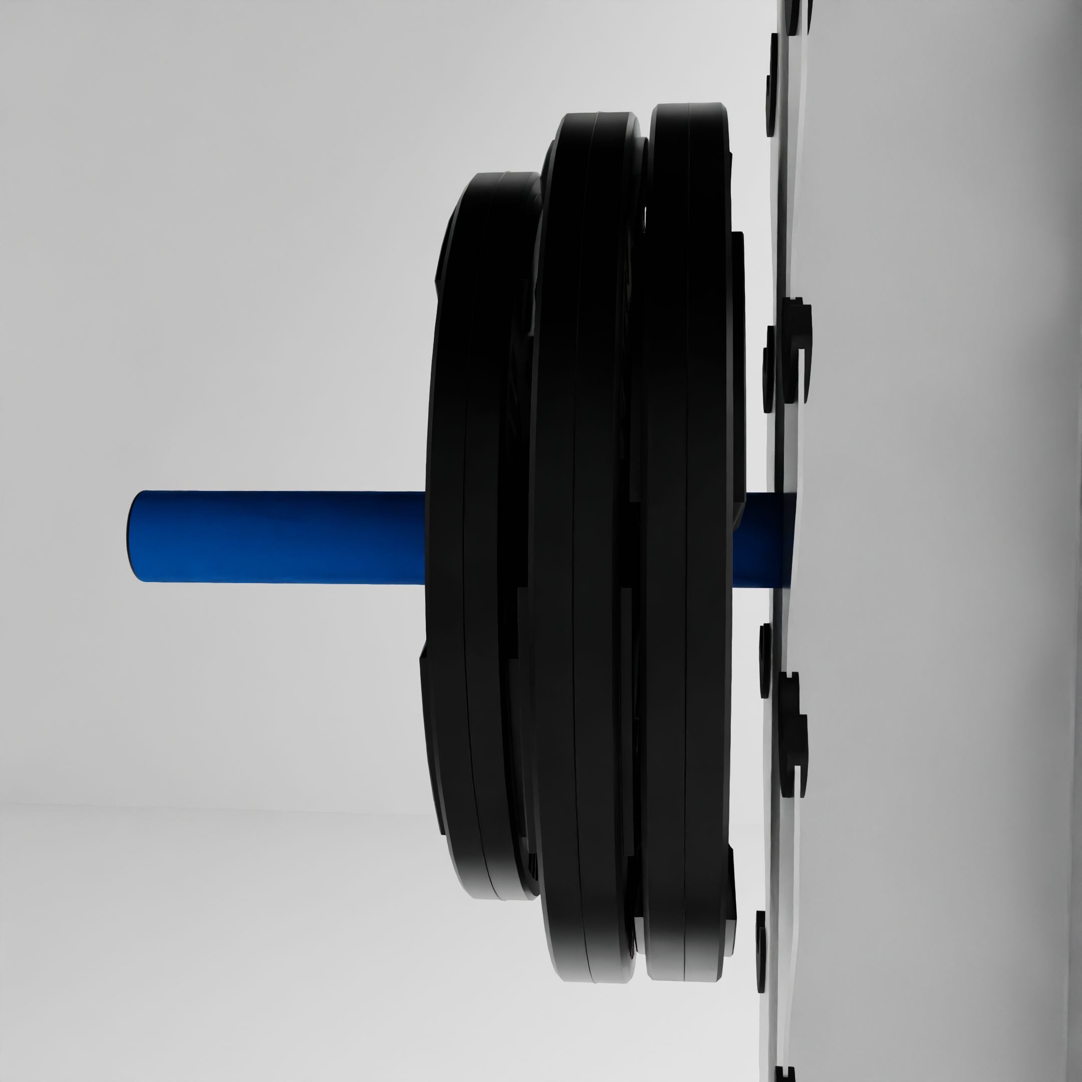 Weight Plate Storage Mount