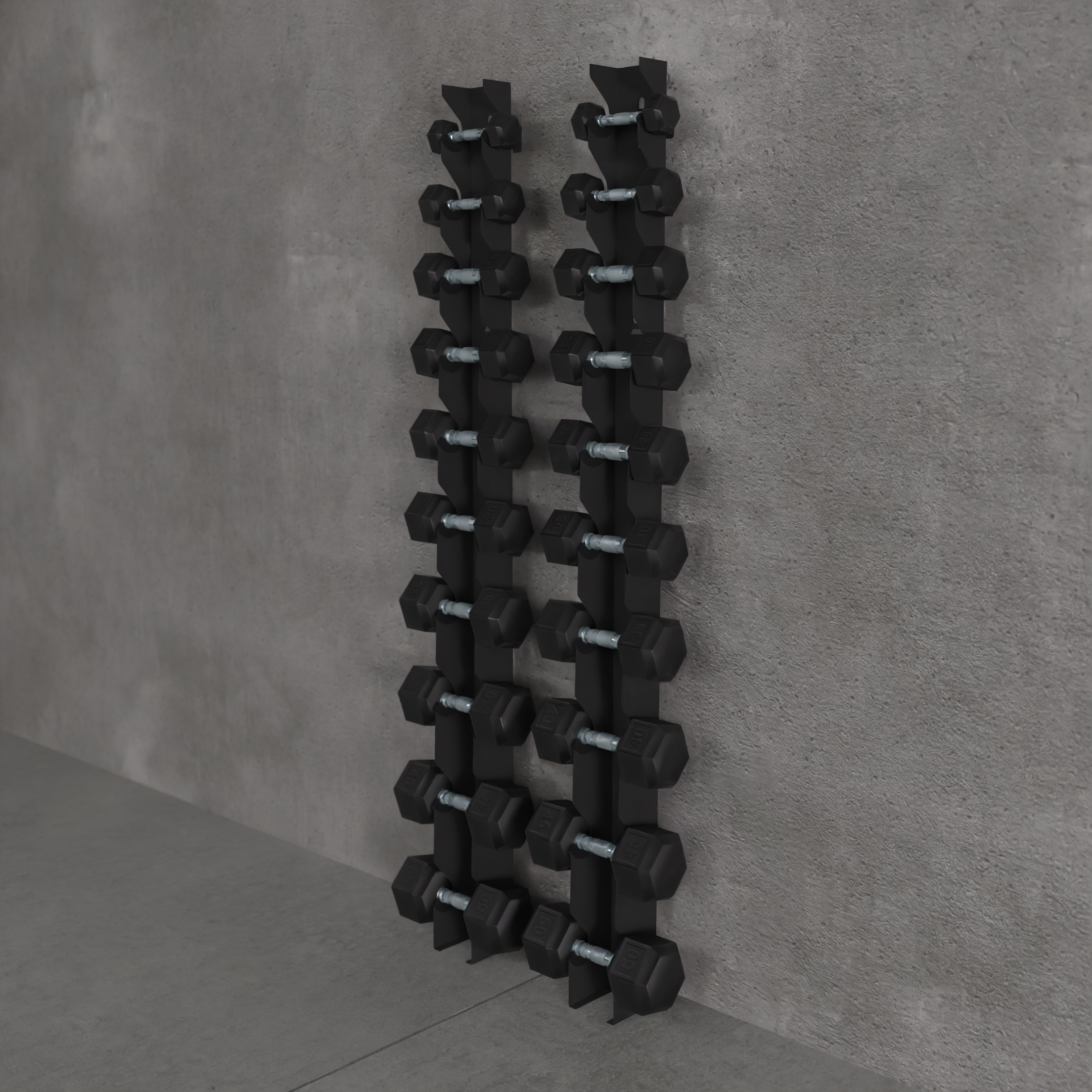 Delta | 10-Tier Vertical Dumbbell Storage Wall/Rack Mount