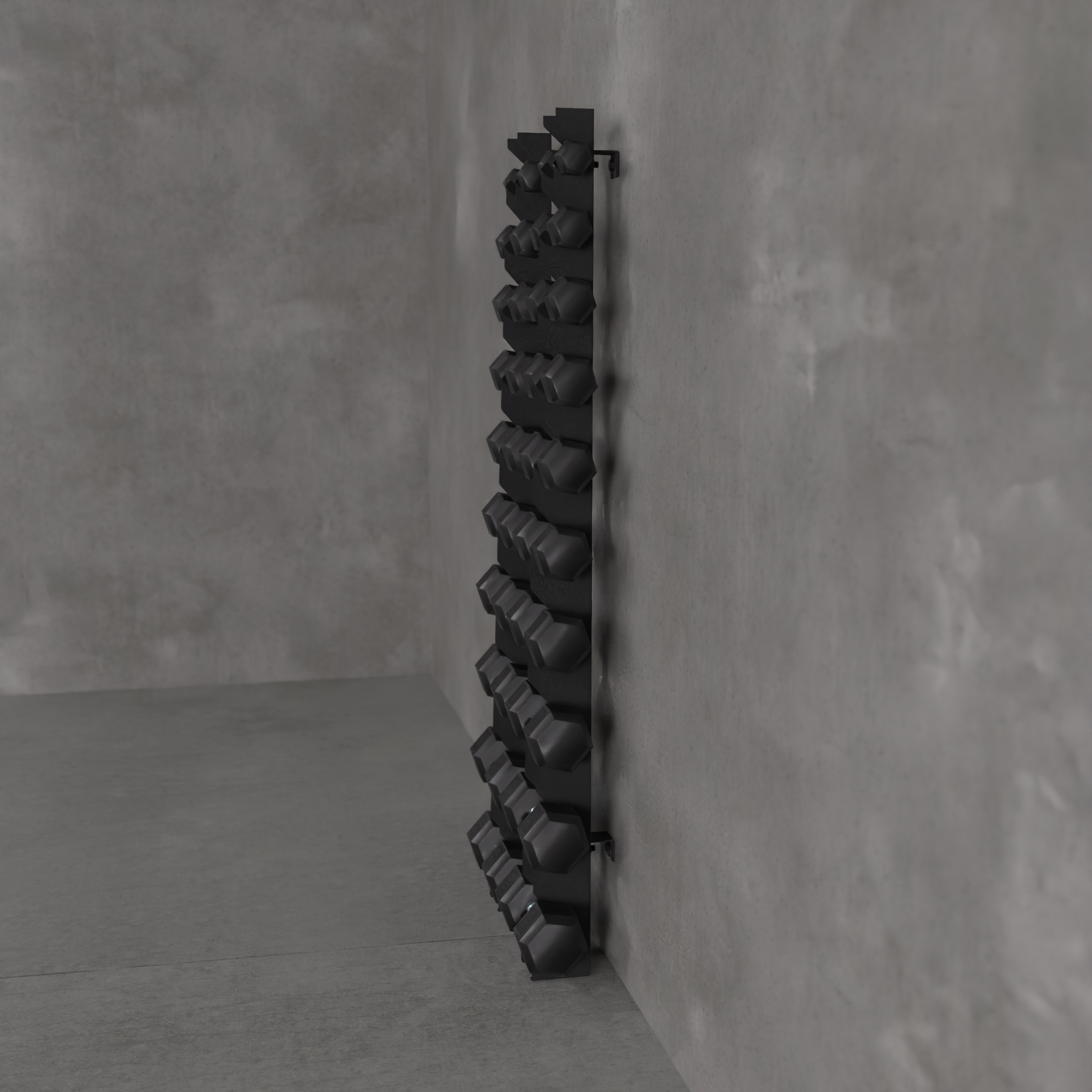 Delta | 10-Tier Vertical Dumbbell Storage Wall/Rack Mount