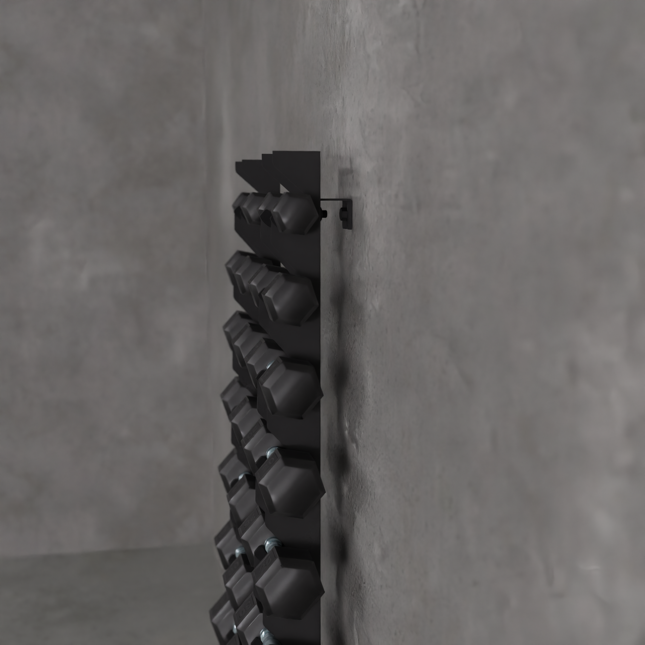 Delta | 10-Tier Vertical Dumbbell Storage Wall/Rack Mount