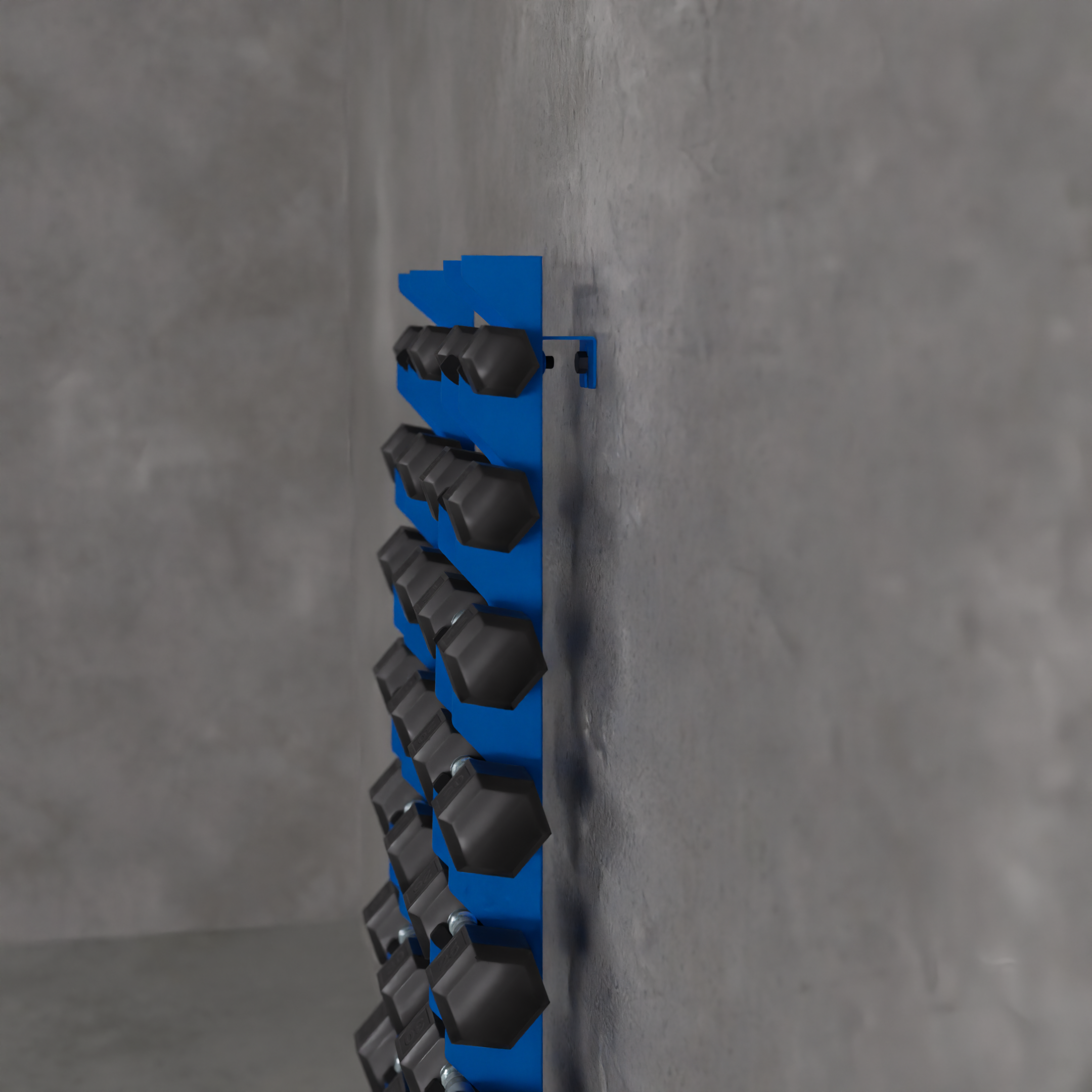 Delta | 10-Tier Vertical Dumbbell Storage Wall/Rack Mount