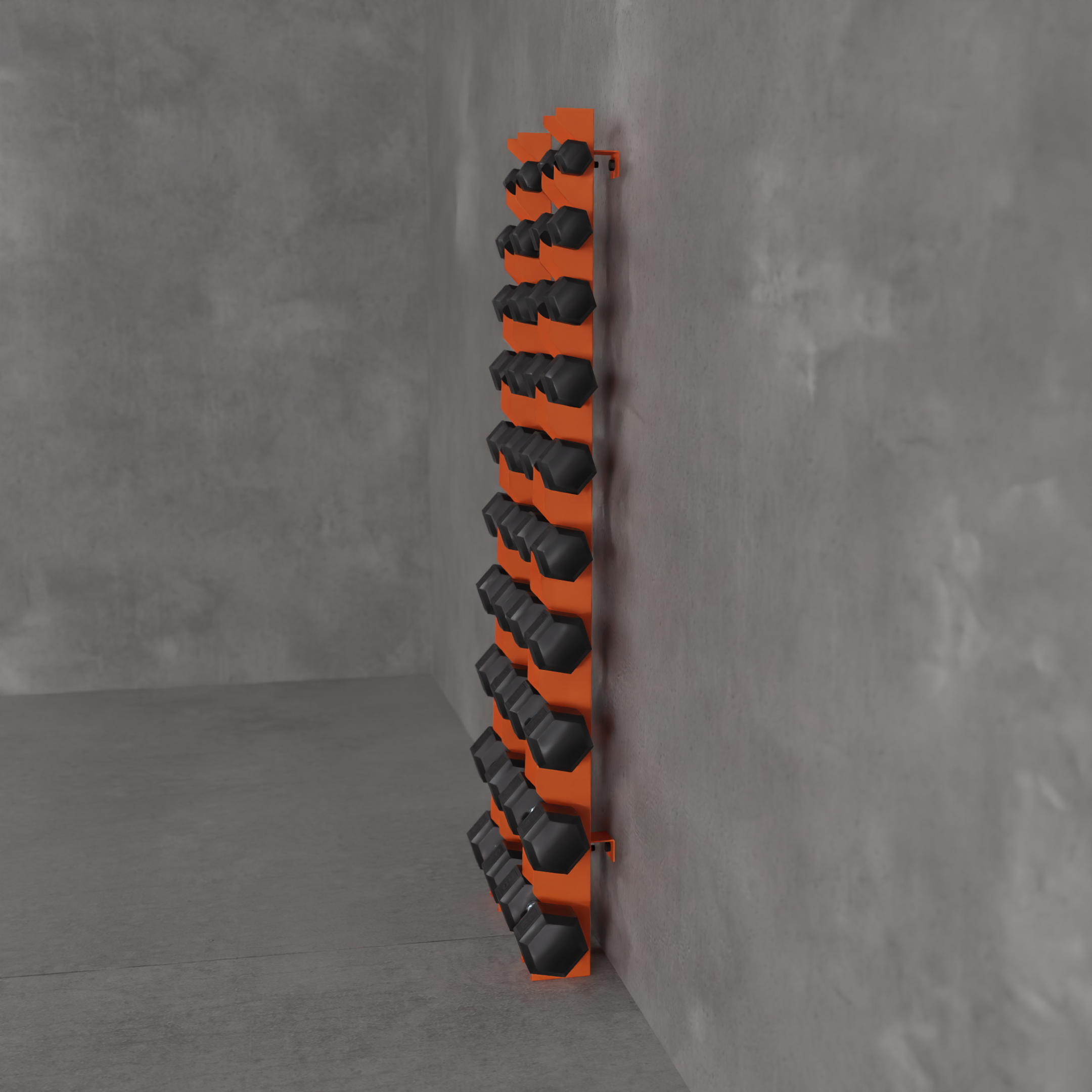 Delta | 10-Tier Vertical Dumbbell Storage Wall/Rack Mount