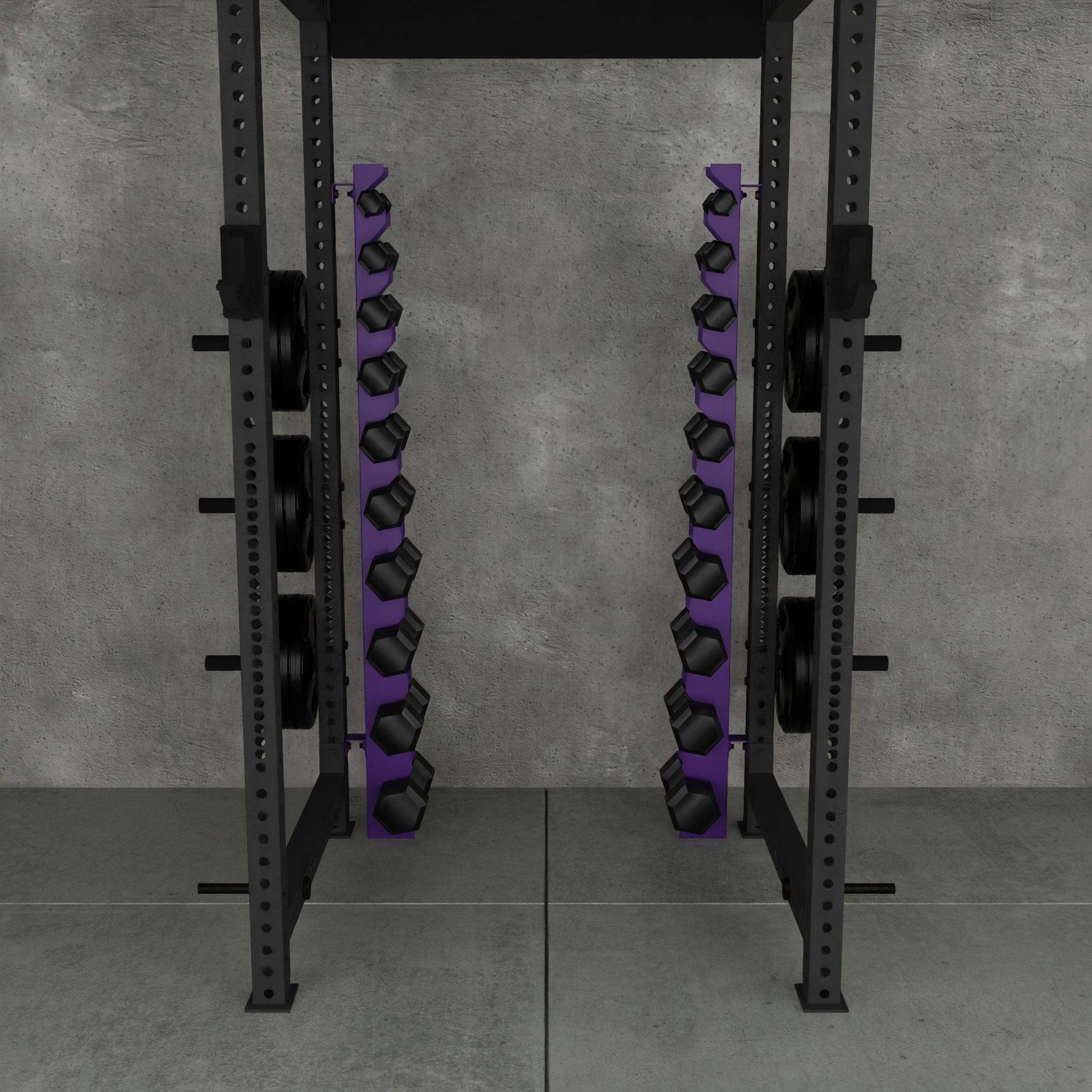 Delta | 10-Tier Vertical Dumbbell Storage Wall/Rack Mount