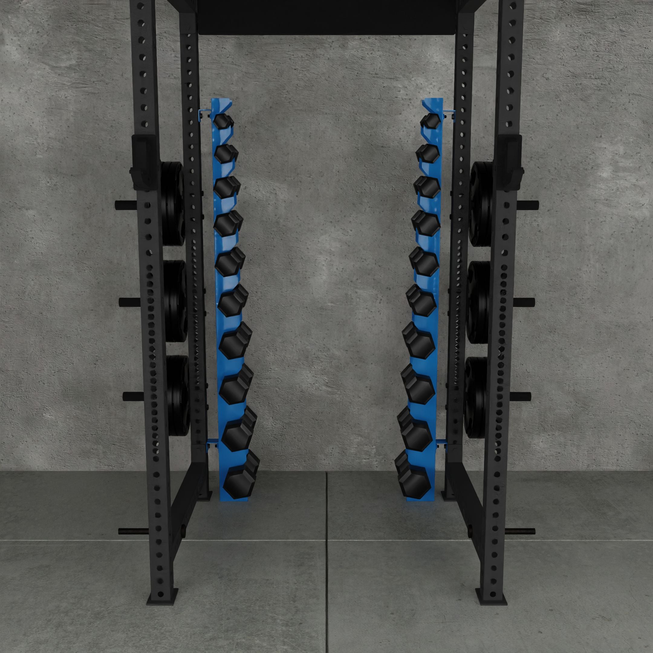 Delta | 10-Tier Vertical Dumbbell Storage Wall/Rack Mount