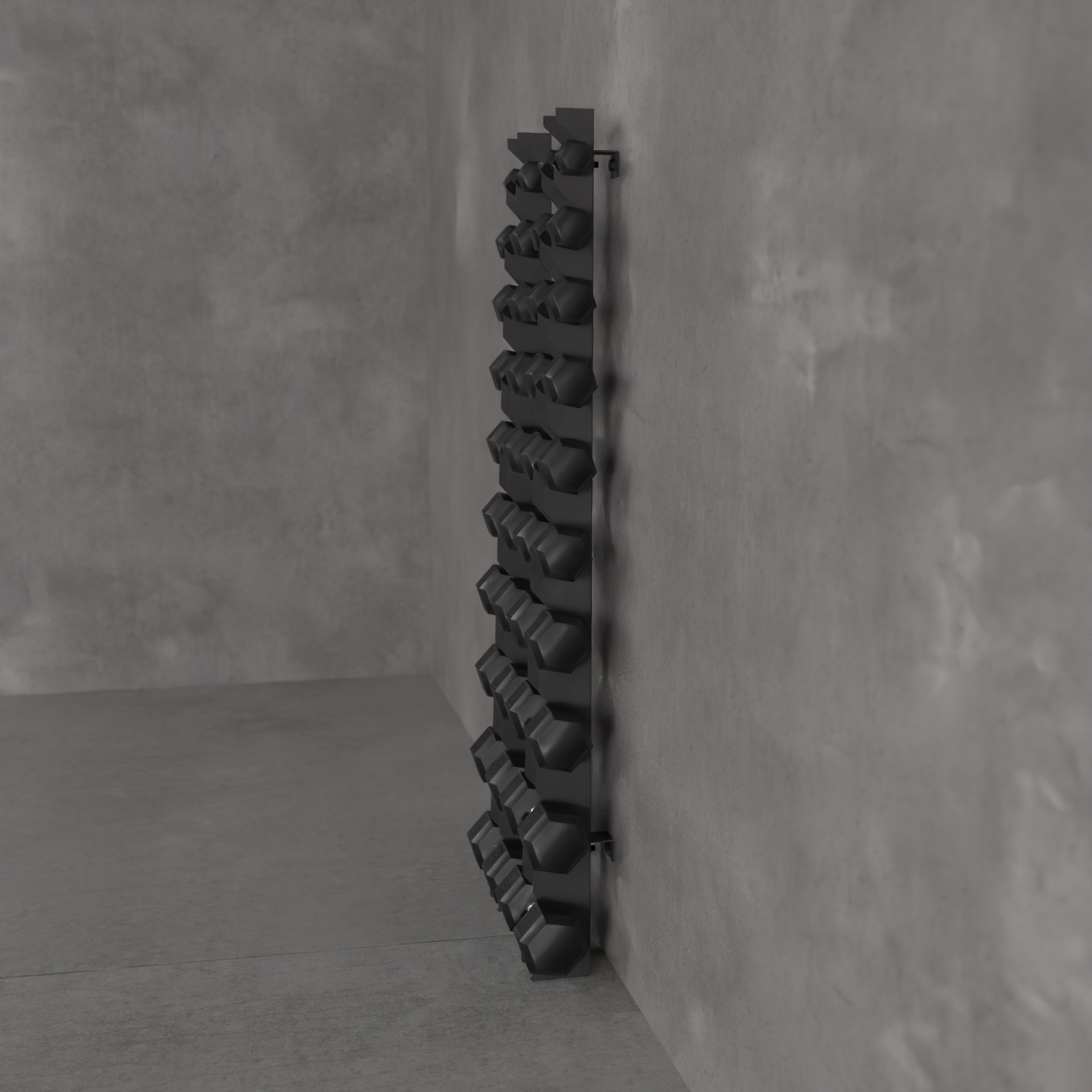 Delta | 10-Tier Vertical Dumbbell Storage Wall/Rack Mount