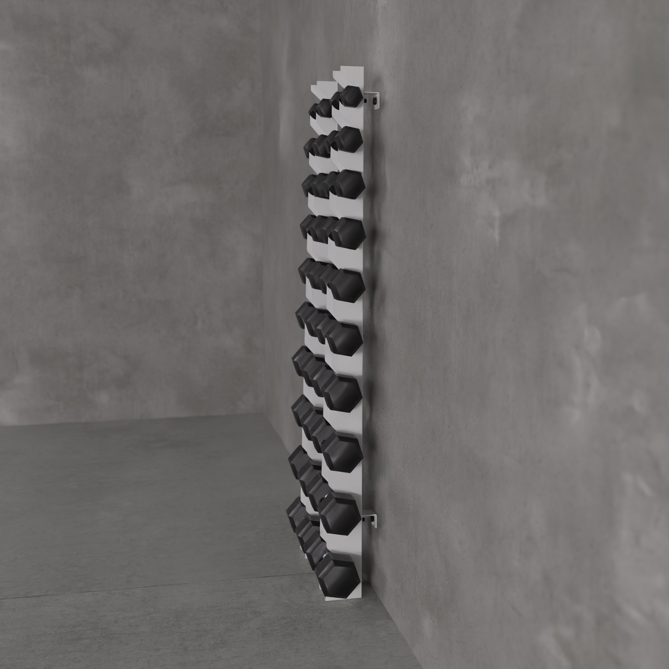 Delta | 10-Tier Vertical Dumbbell Storage Wall/Rack Mount