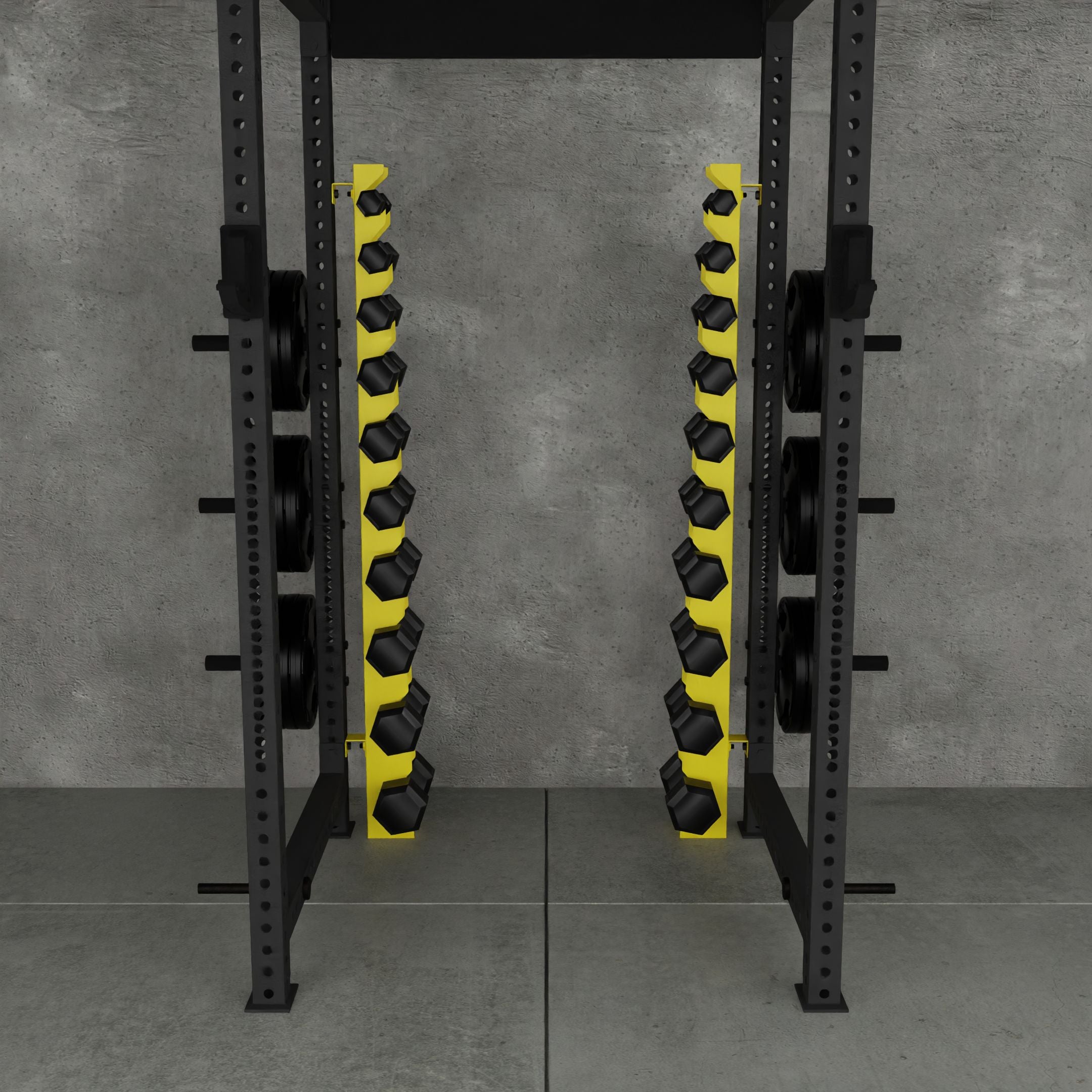 Delta | 10-Tier Vertical Dumbbell Storage Wall/Rack Mount