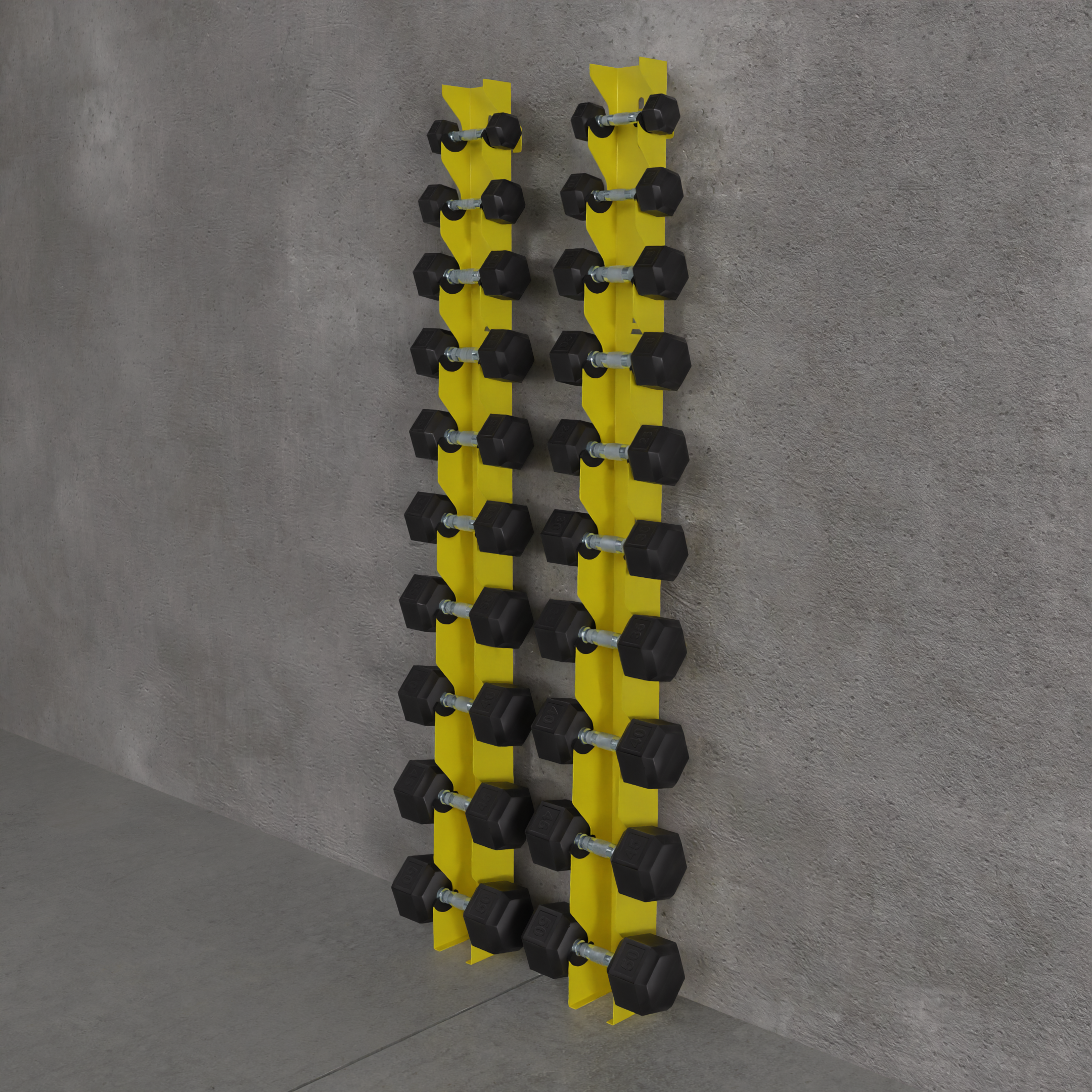 Delta | 10-Tier Vertical Dumbbell Storage Wall/Rack Mount