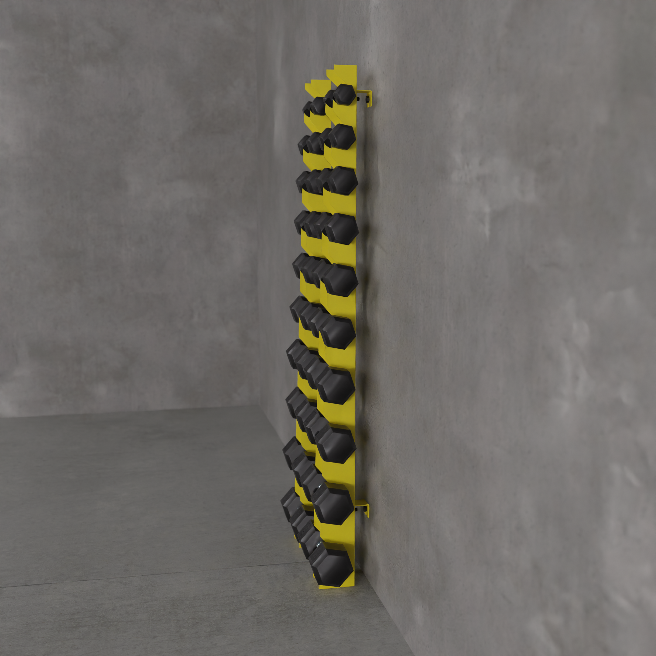 Delta | 10-Tier Vertical Dumbbell Storage Wall/Rack Mount