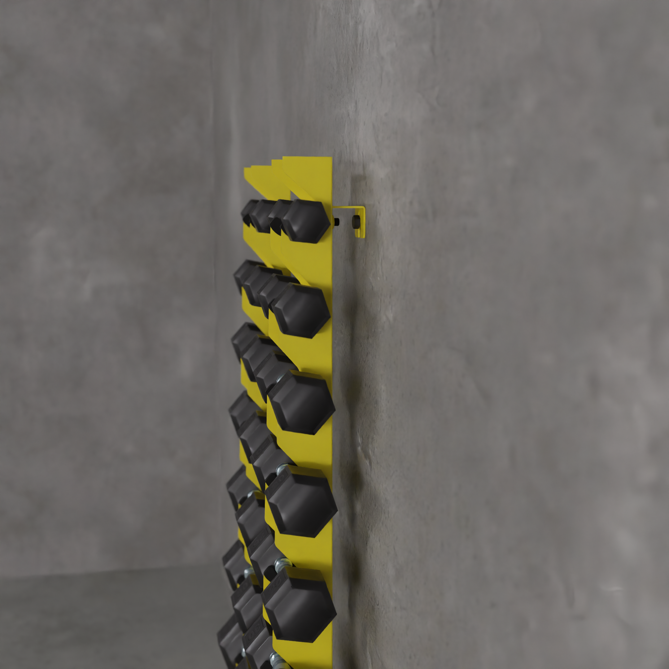 Delta | 10-Tier Vertical Dumbbell Storage Wall/Rack Mount