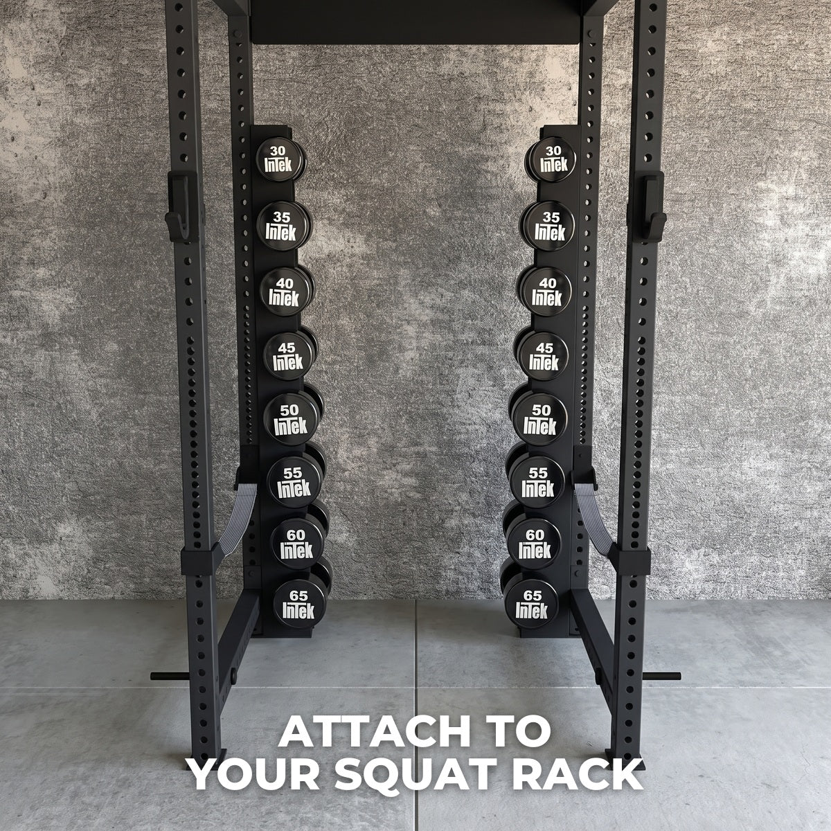 Delta Elite holders attached inside a squat rack with InTek dumbbells