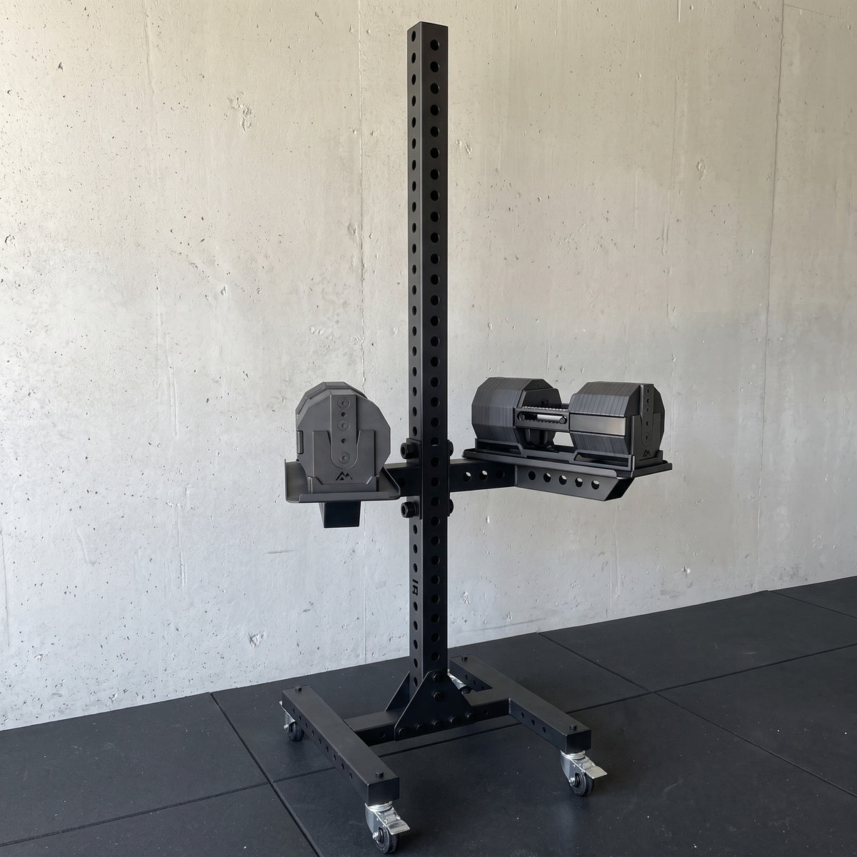 Delta Adjustable Dumbbell Rack on 3 inch locking casters