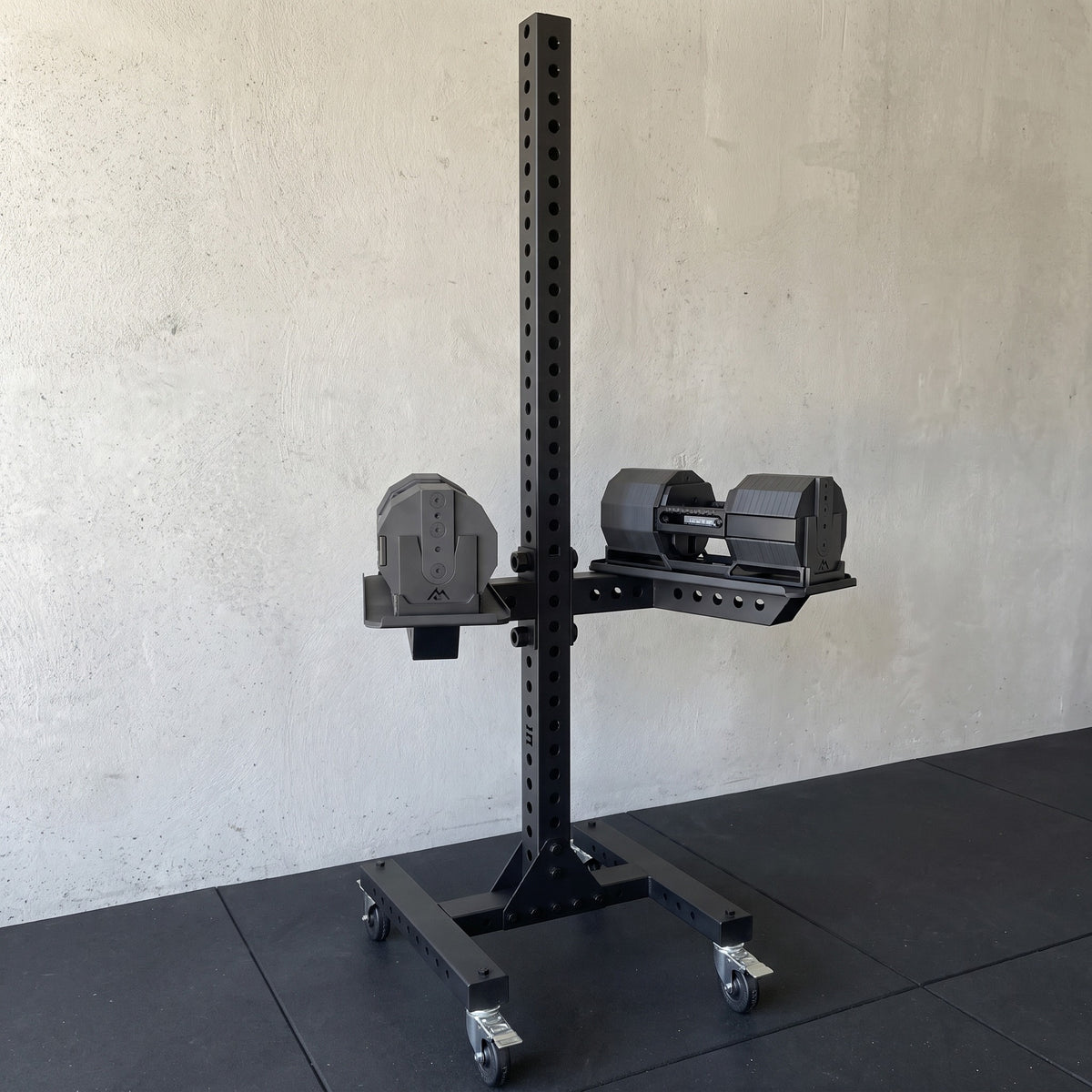 Delta Adjustable Dumbbell Rack on 4 inch locking casters