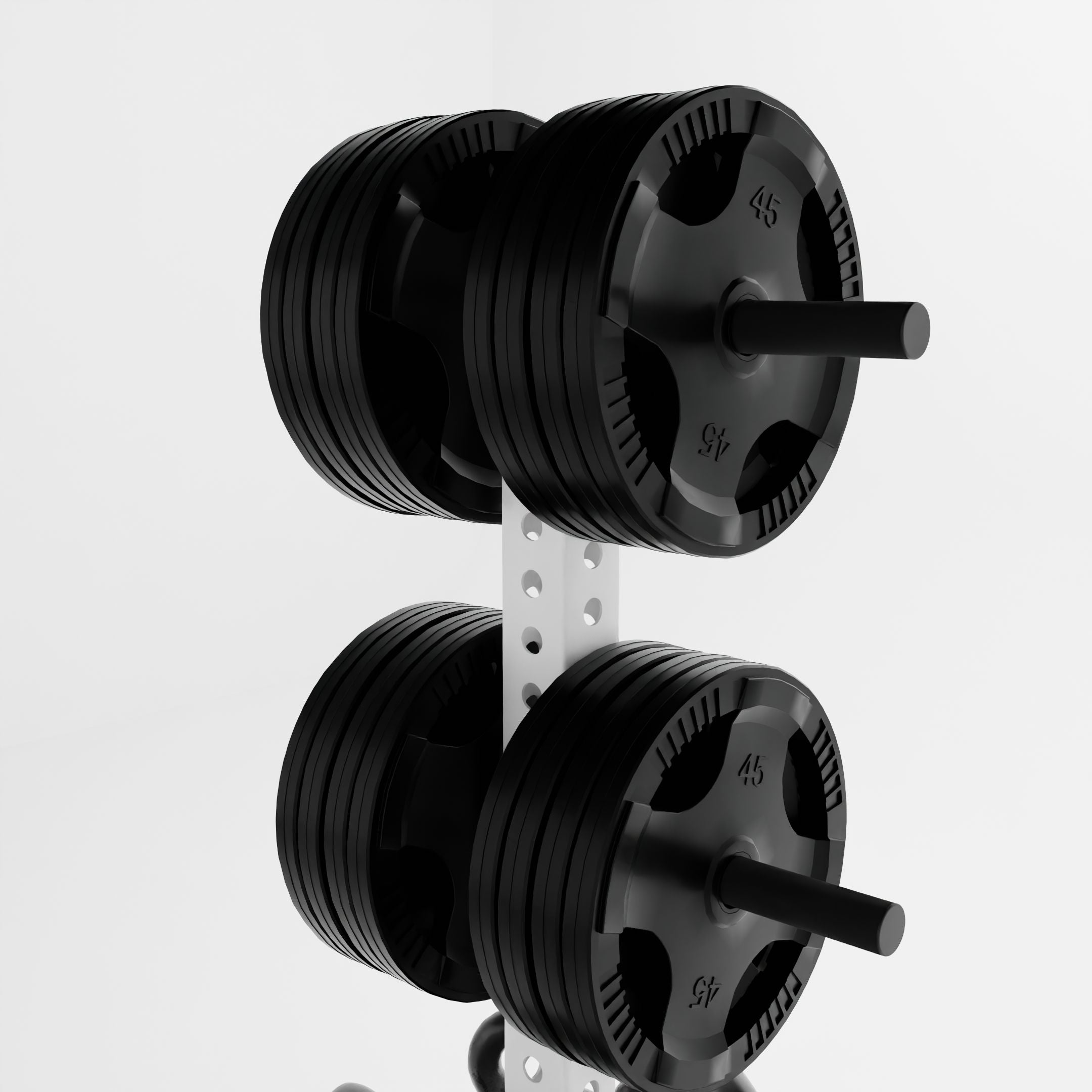 Alpha PK | Vertical Hybrid Plate and Kettlebell Storage Rack