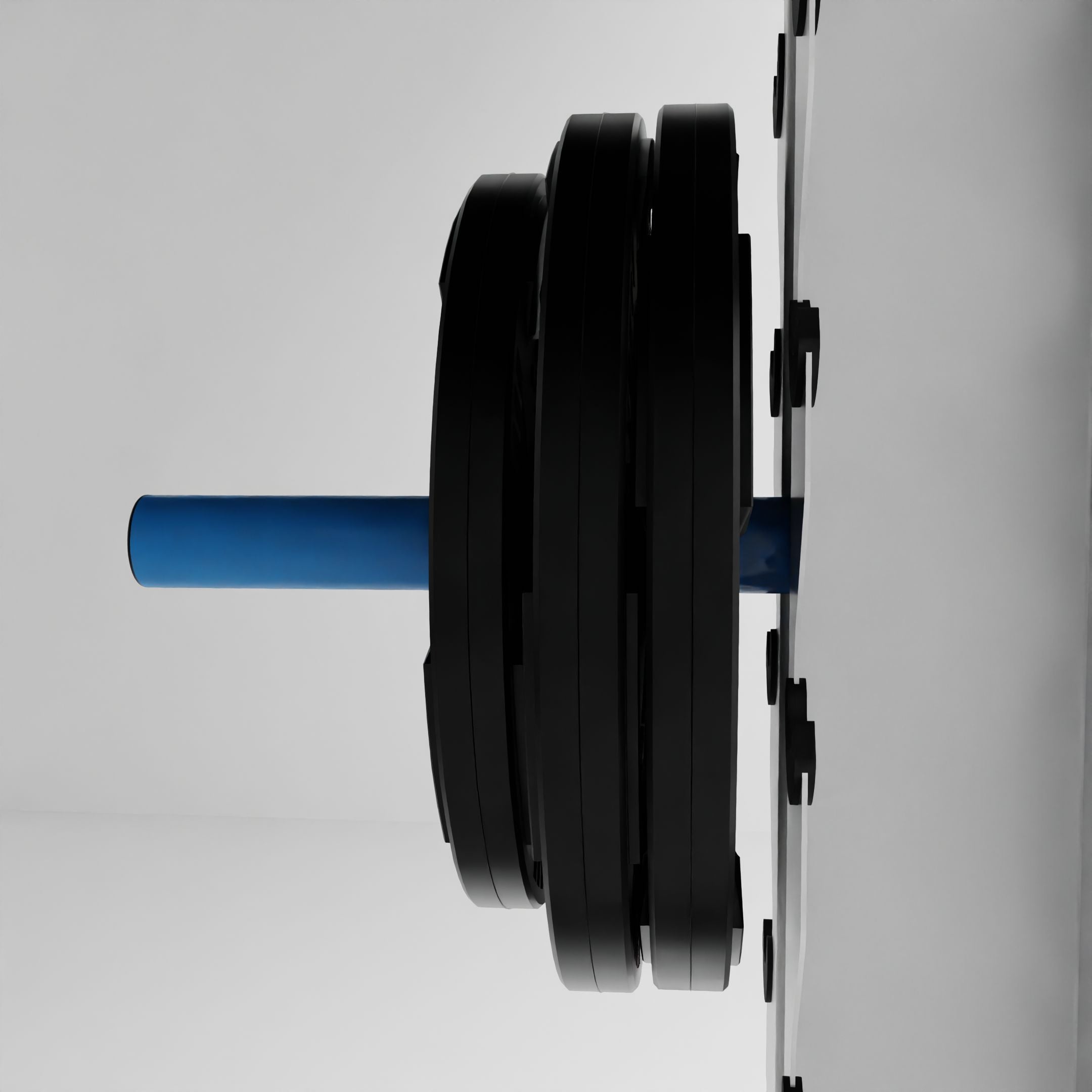 Weight Plate Storage Mount