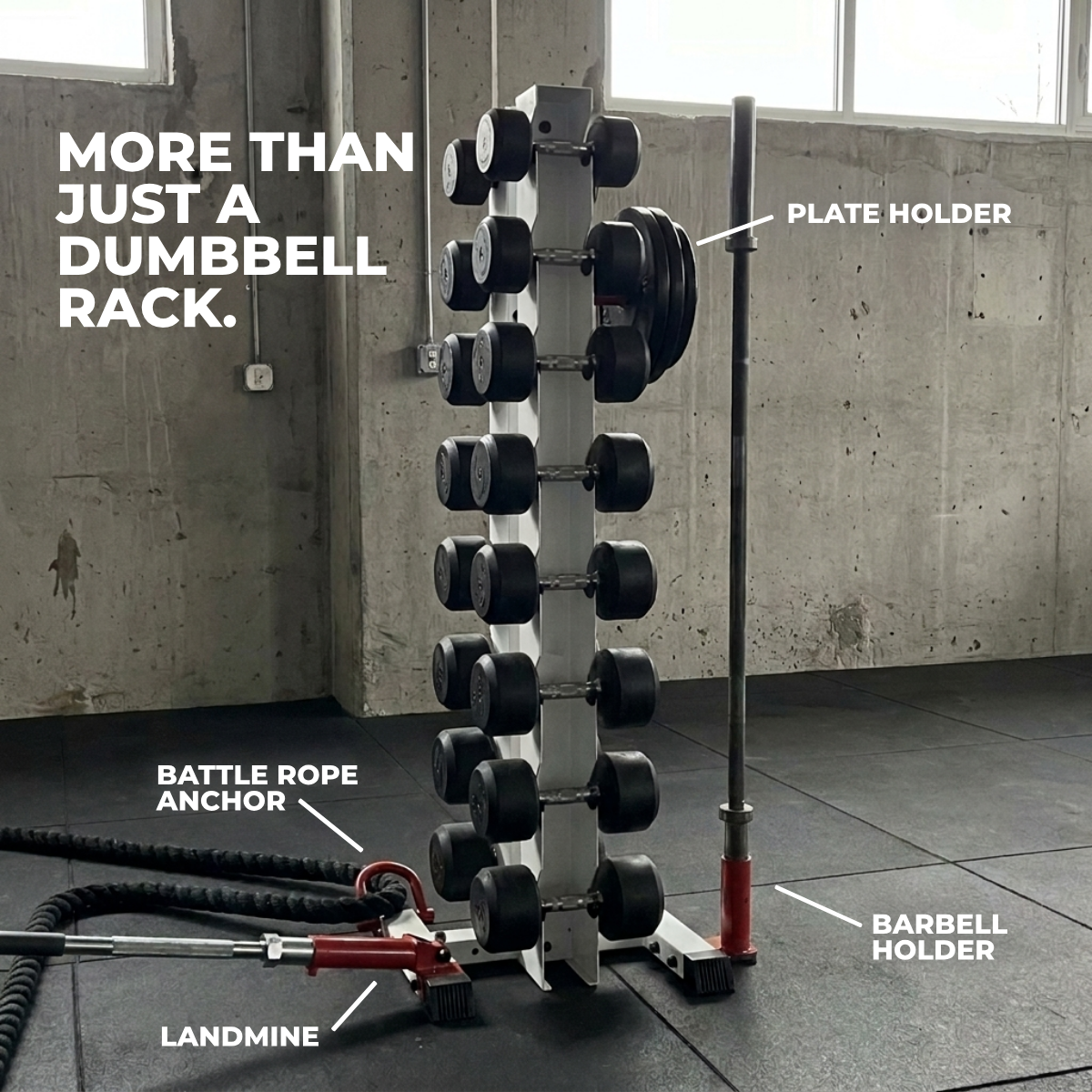 delta elite rack holding a landmine, battle rope anchor, barbell holder and plate holder
