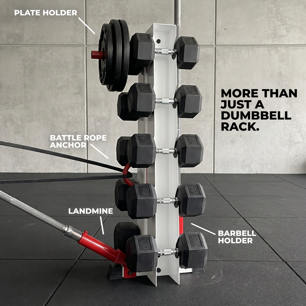 Alpha Elite | 5-Tier Vertical Dumbbell Storage Rack