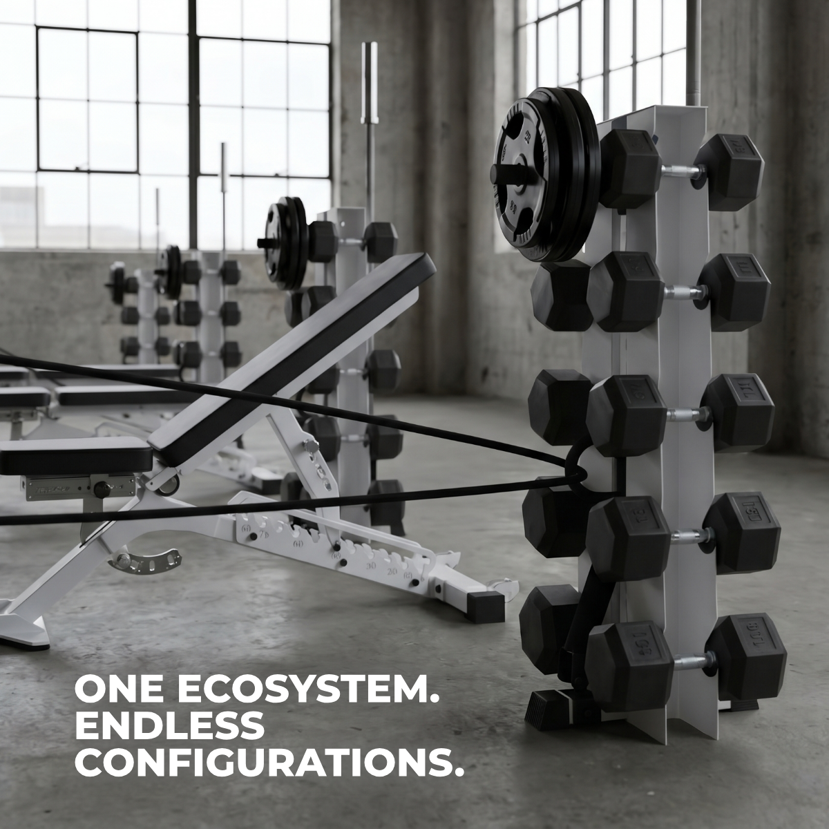 Alpha Elite | 5-Tier Vertical Dumbbell Storage Rack