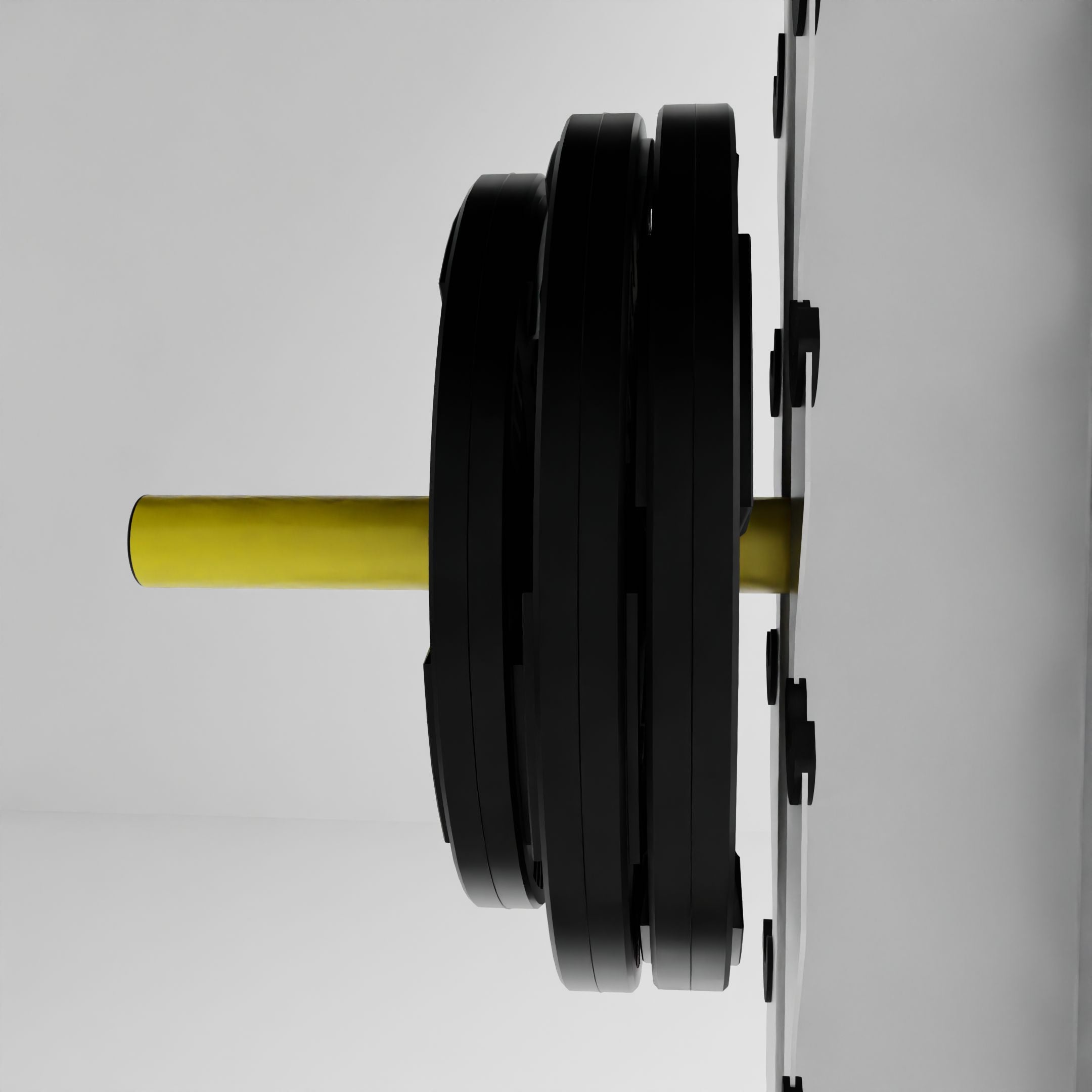 Weight Plate Storage Mount