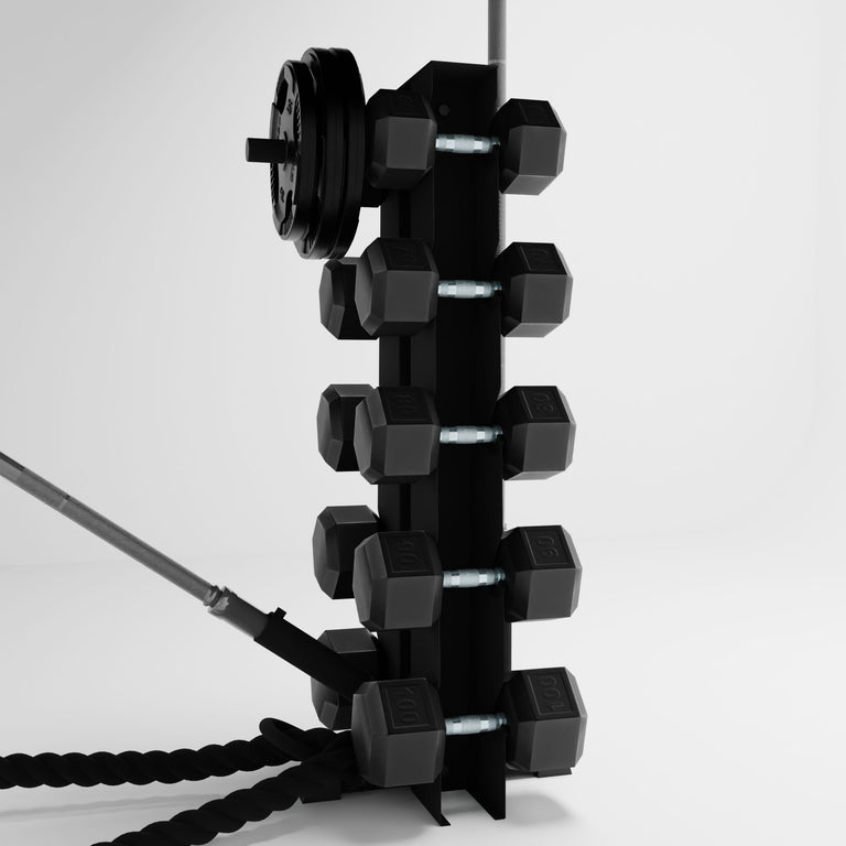 black alpha elite vertical dumbbell storage rack with accessories holding dumbbells, weight plates, barbells, and a battle rope