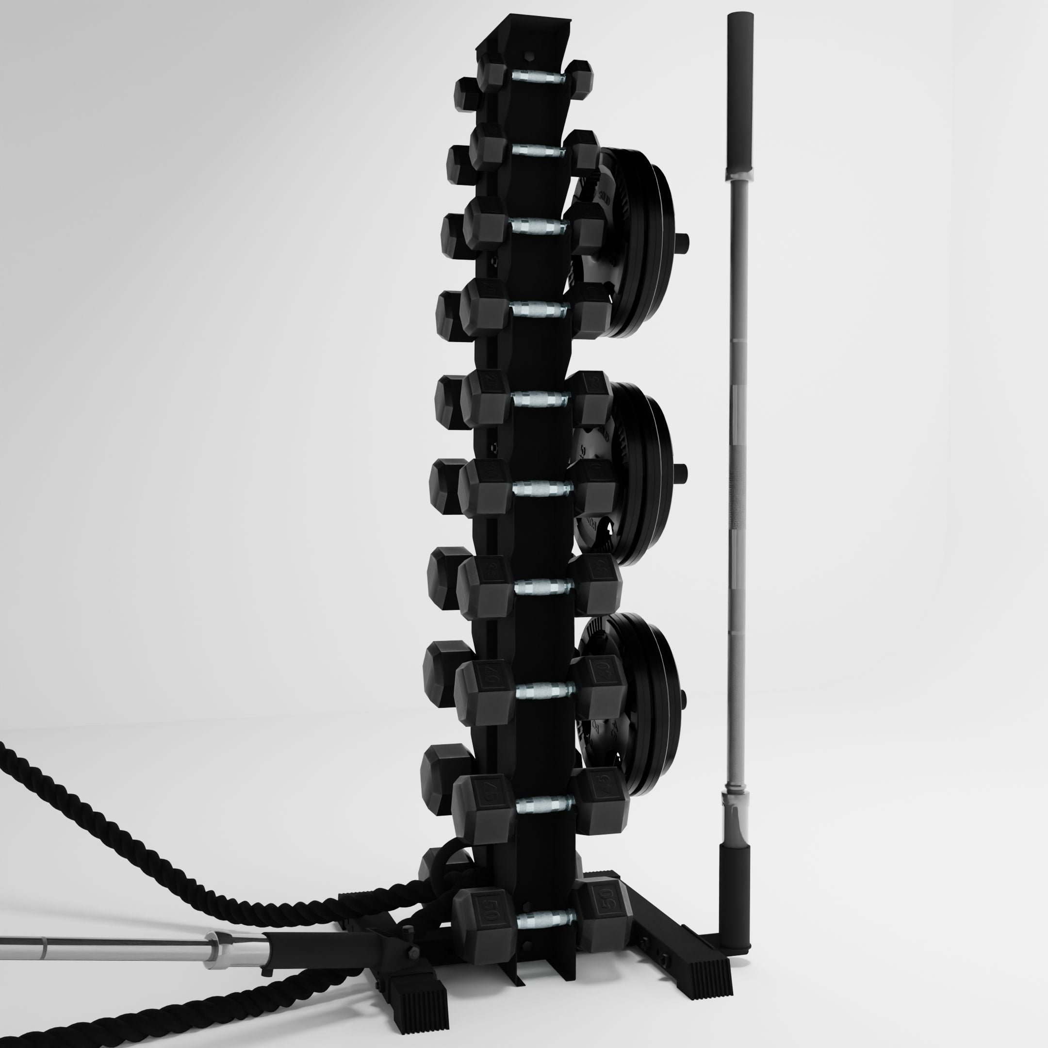 black delta 10-tier vertical dumbbell storage rack storing dumbbells, weight plates, barbells, and a battle rope using storage attachment accessories