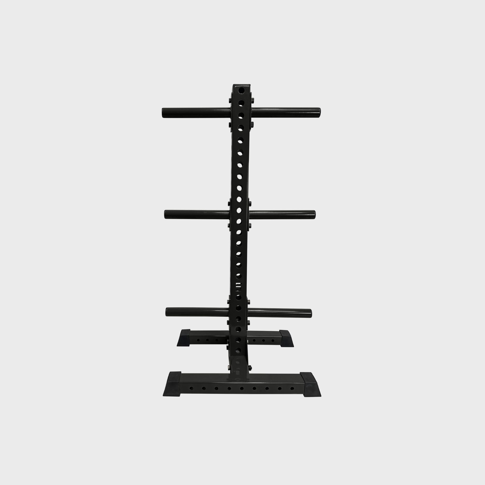 black vertical weight plate storage tree with six weight plate holders