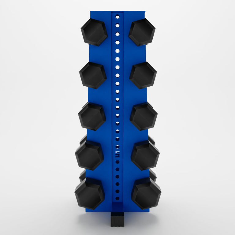 blue alpha elite vertical dumbbell storage rack storing hex dumbbells