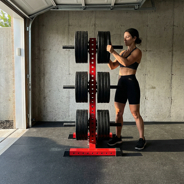 ALPHA PLT 3-TIER VERTICAL PLATE TREE