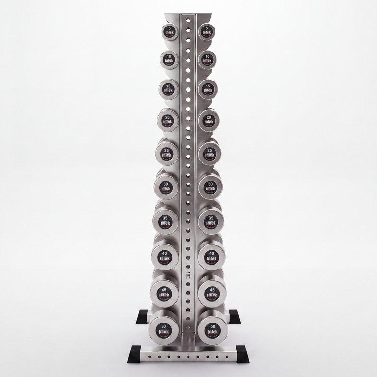 stainless steel delta 10-tier vertical dumbbell storage rack storing hex dumbbells