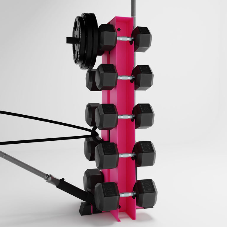 pink alpha elite vertical dumbbell storage rack with accessories holding dumbbells, weight plates, barbells, and a resistance band