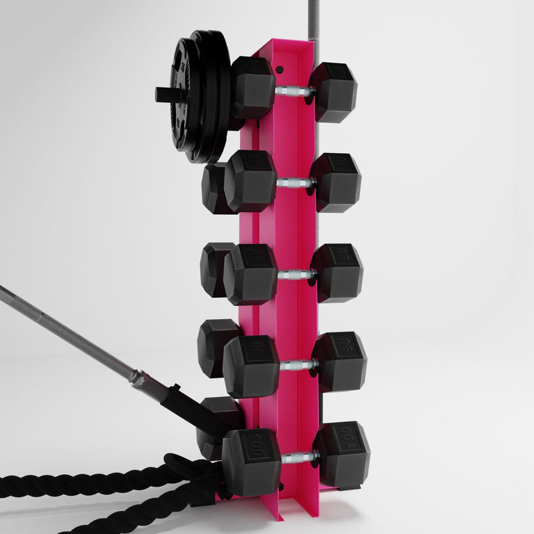 pink alpha elite vertical dumbbell storage rack with accessories holding dumbbells, weight plates, barbells, and a battle rope