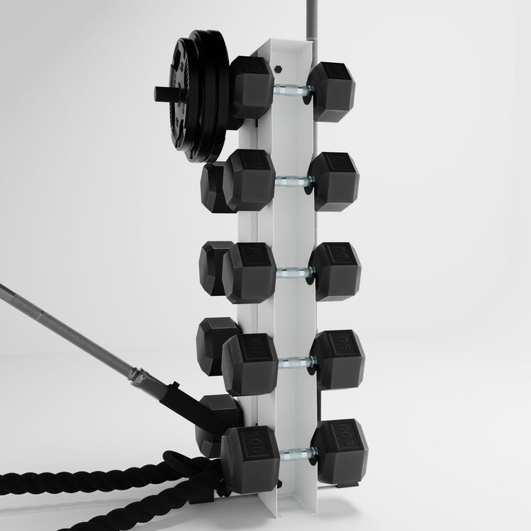 white alpha elite vertical dumbbell storage rack with accessories holding dumbbells, weight plates, barbells, and a battle rope